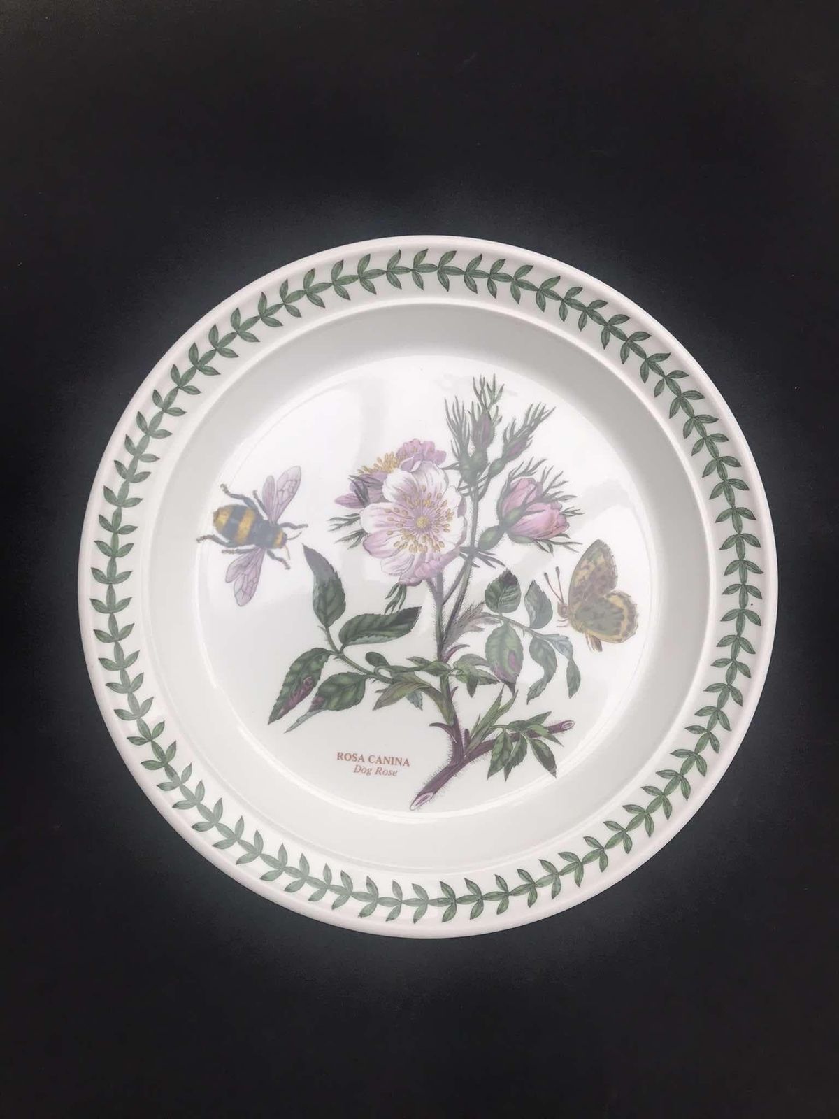 Portmeirion Botanica Salad Plate 70s Botanic Garden Entremets Dessert Plate Rosa Canina Dog Rose Made In England China Replacement Spare photo for sale