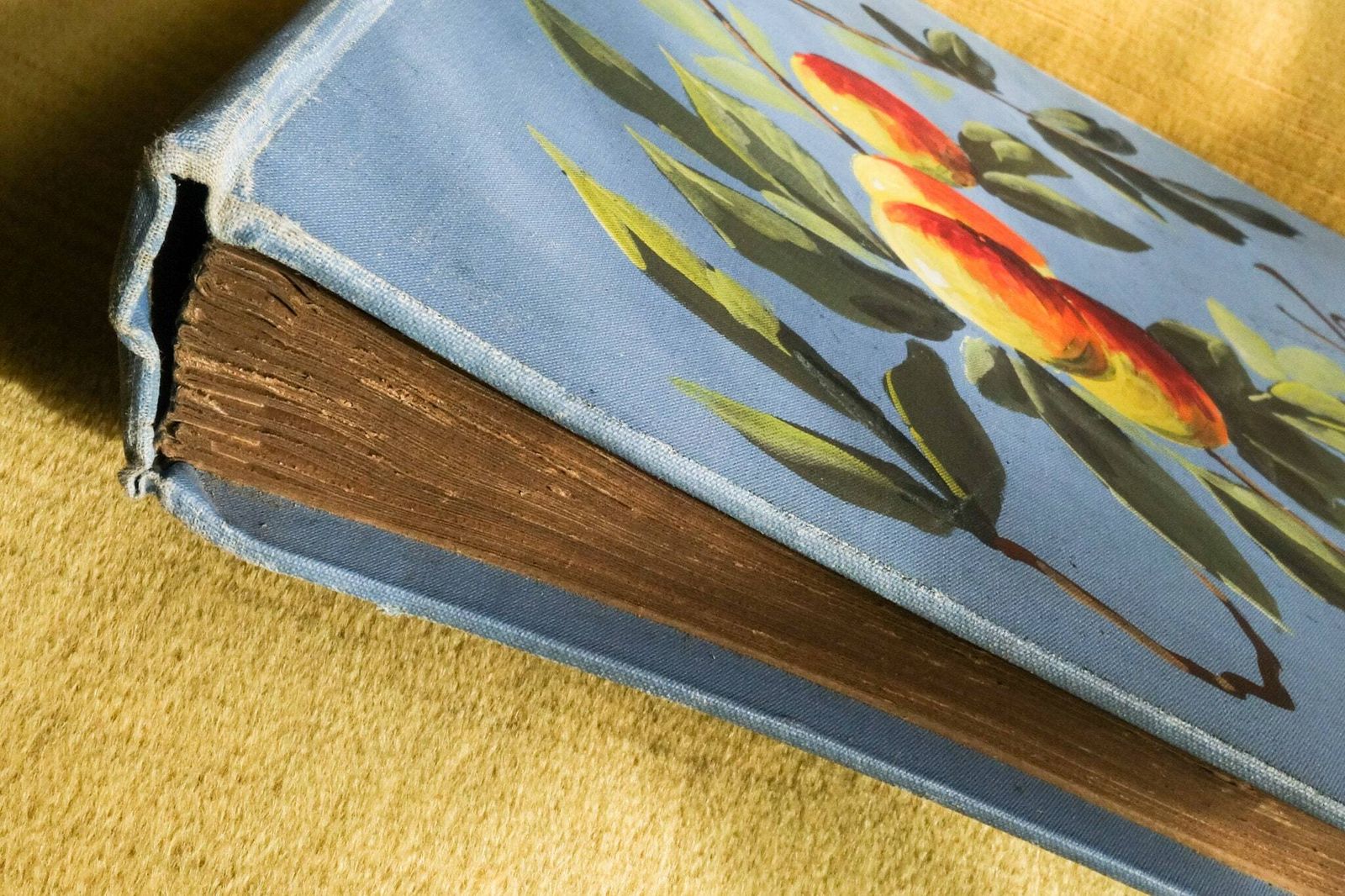 Art Deco French Post Cards Album photo for sale