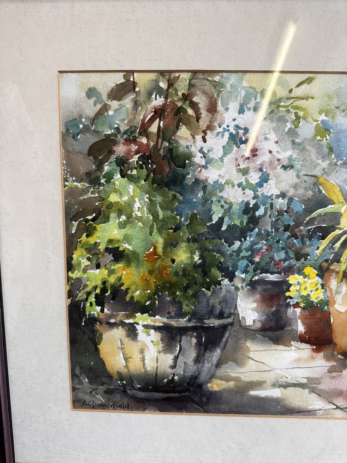 Original Ann Dangerfield Watercolour Botanical. “Pot Plants” 21”X17 photo furniture