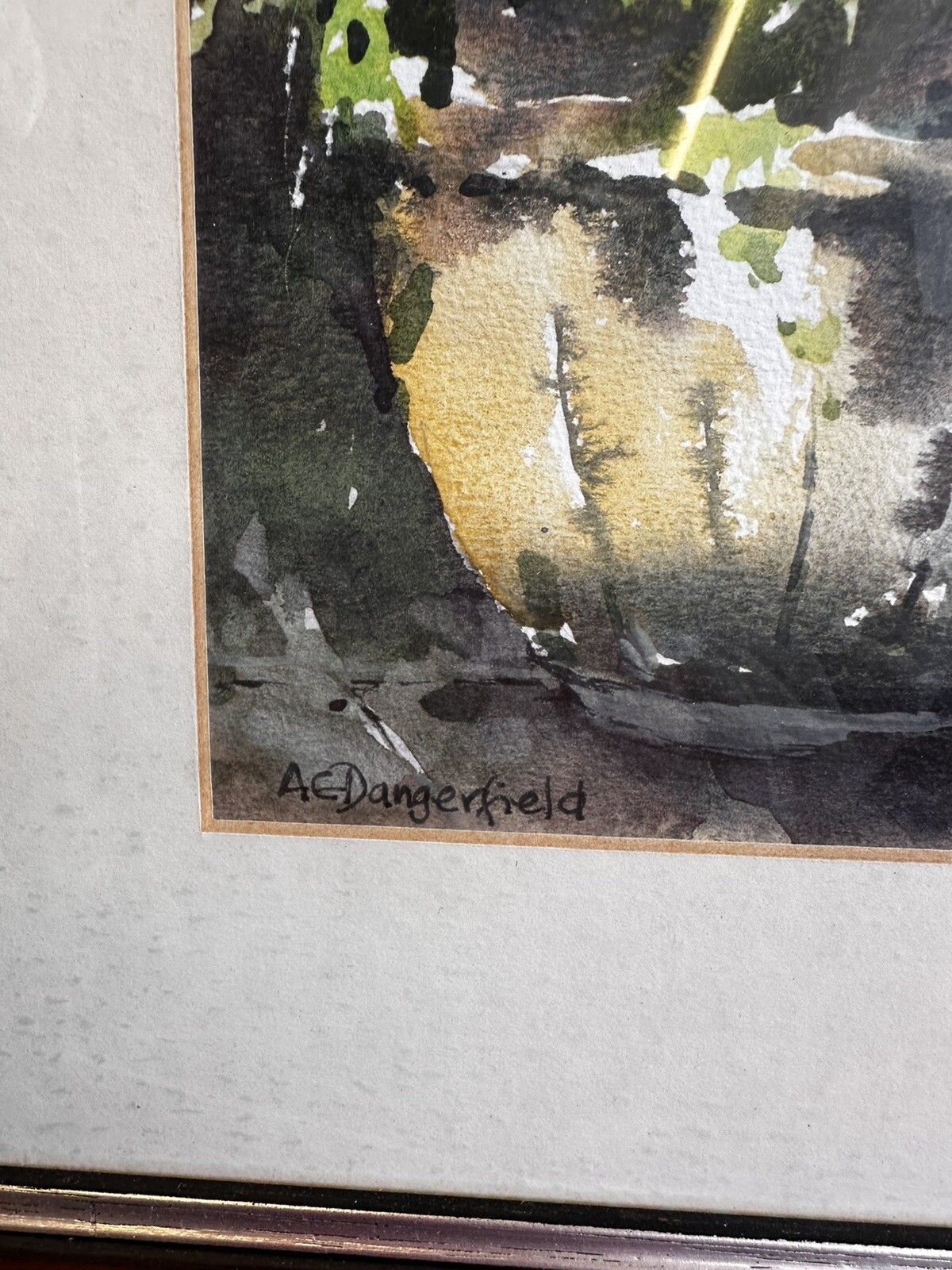 Original Ann Dangerfield Watercolour Botanical. “Pot Plants” 21”X17 photo 95.0