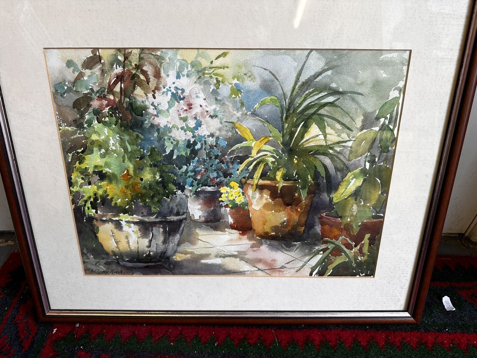 Original Ann Dangerfield Watercolour Botanical. “Pot Plants” 21”X17 photo vinterior
