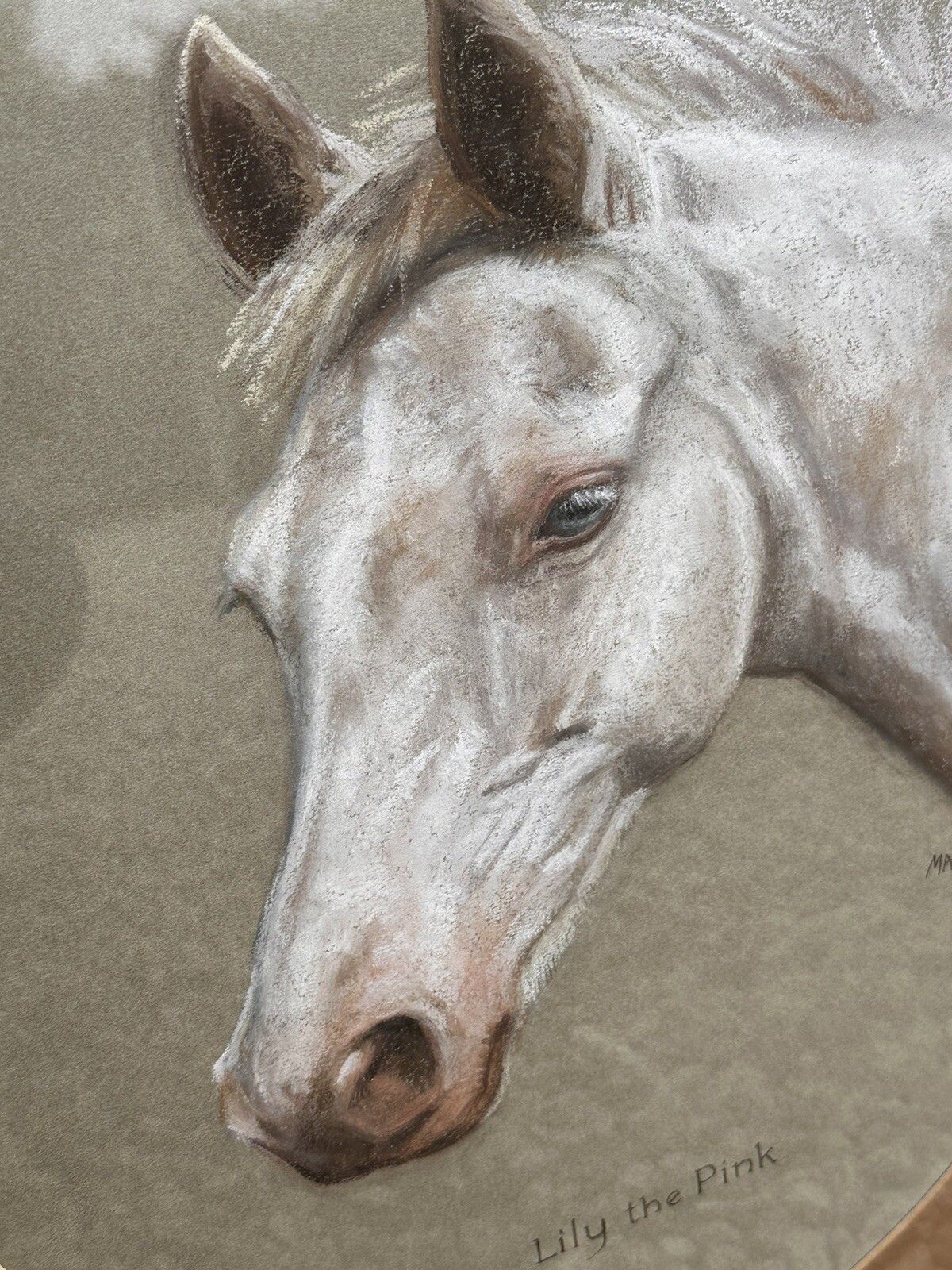 Mary Browning Original Signed Pastel Art  Lily The Pink Horse 63cm By 52.5cm photo Art
