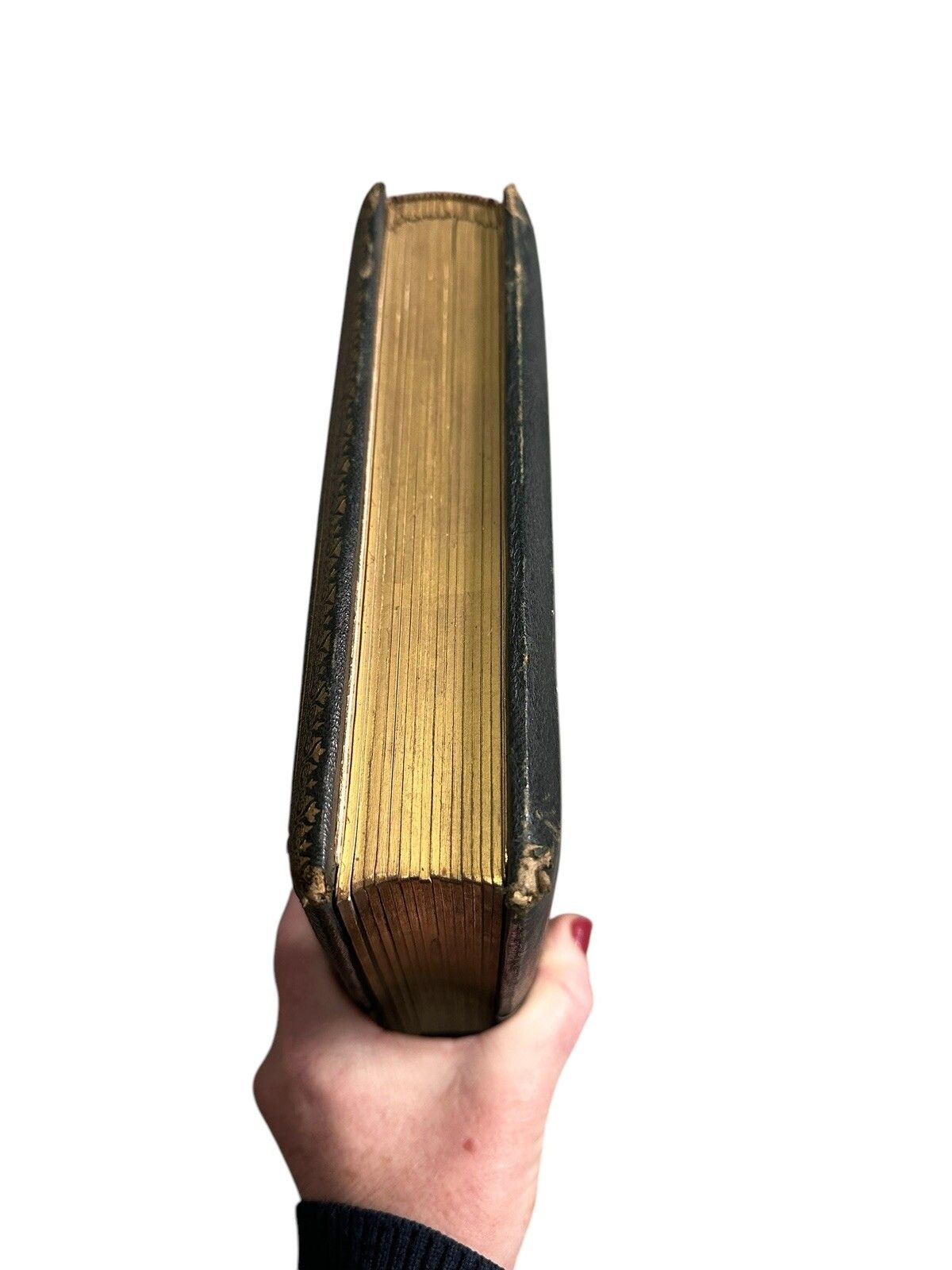 Victorian Leather Bound Photo Album photo for sale
