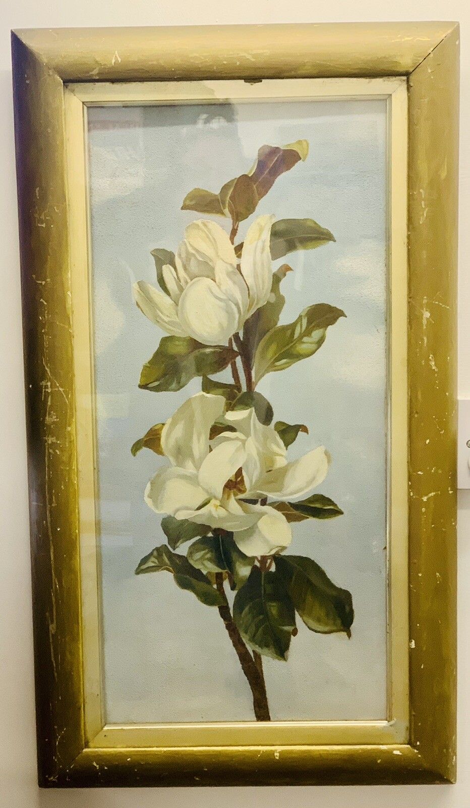 Superb 19th Century Oil On Canvas Floral Botanical Still Life 70cm By 40cm