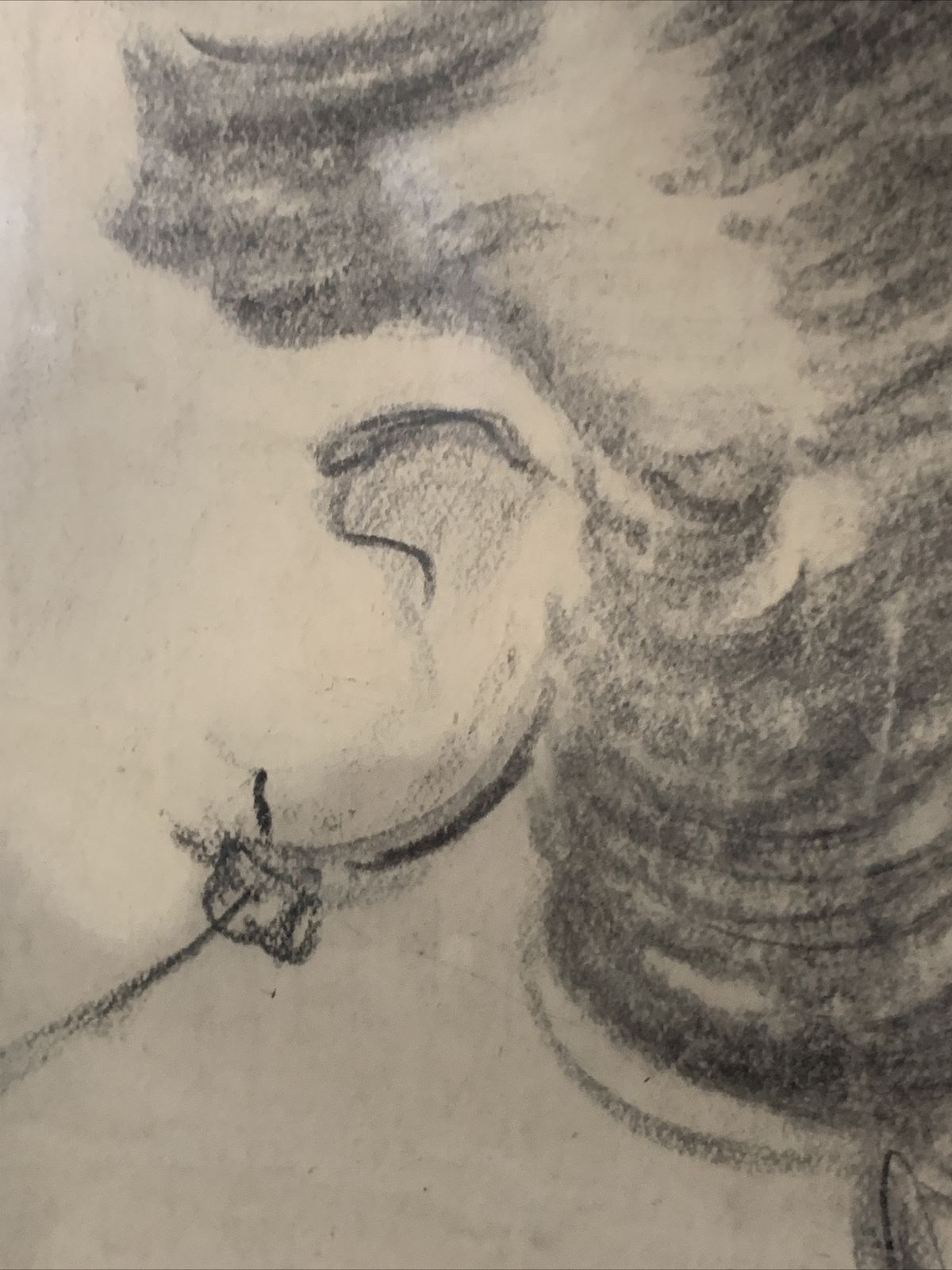 Vintage Pencil Portrait Sketch Signed By Artist photo vinterior