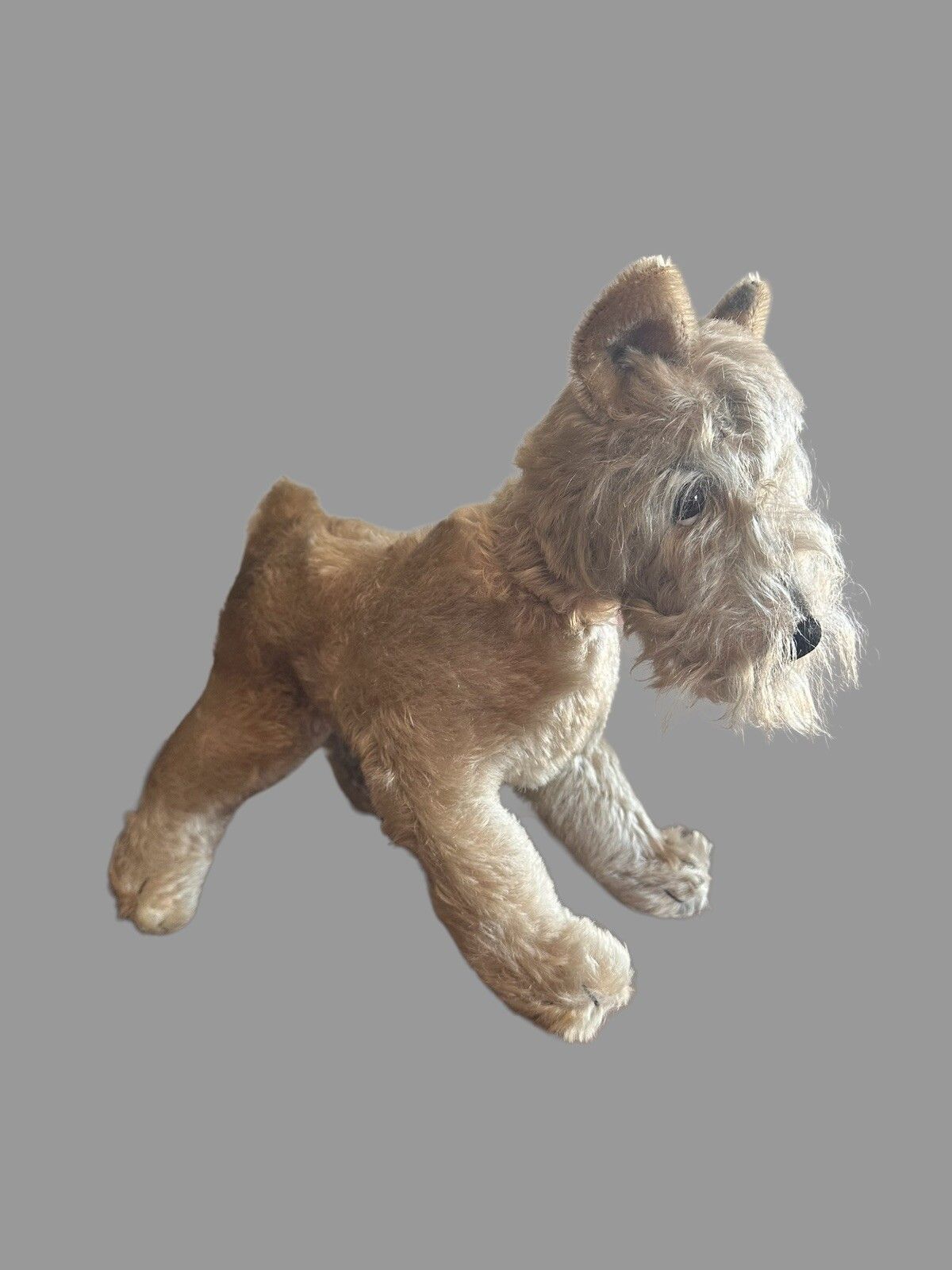 Vintage Steiff Dog Champagne Mohair Dog, Steiff 1950's , Schnauzer 12”