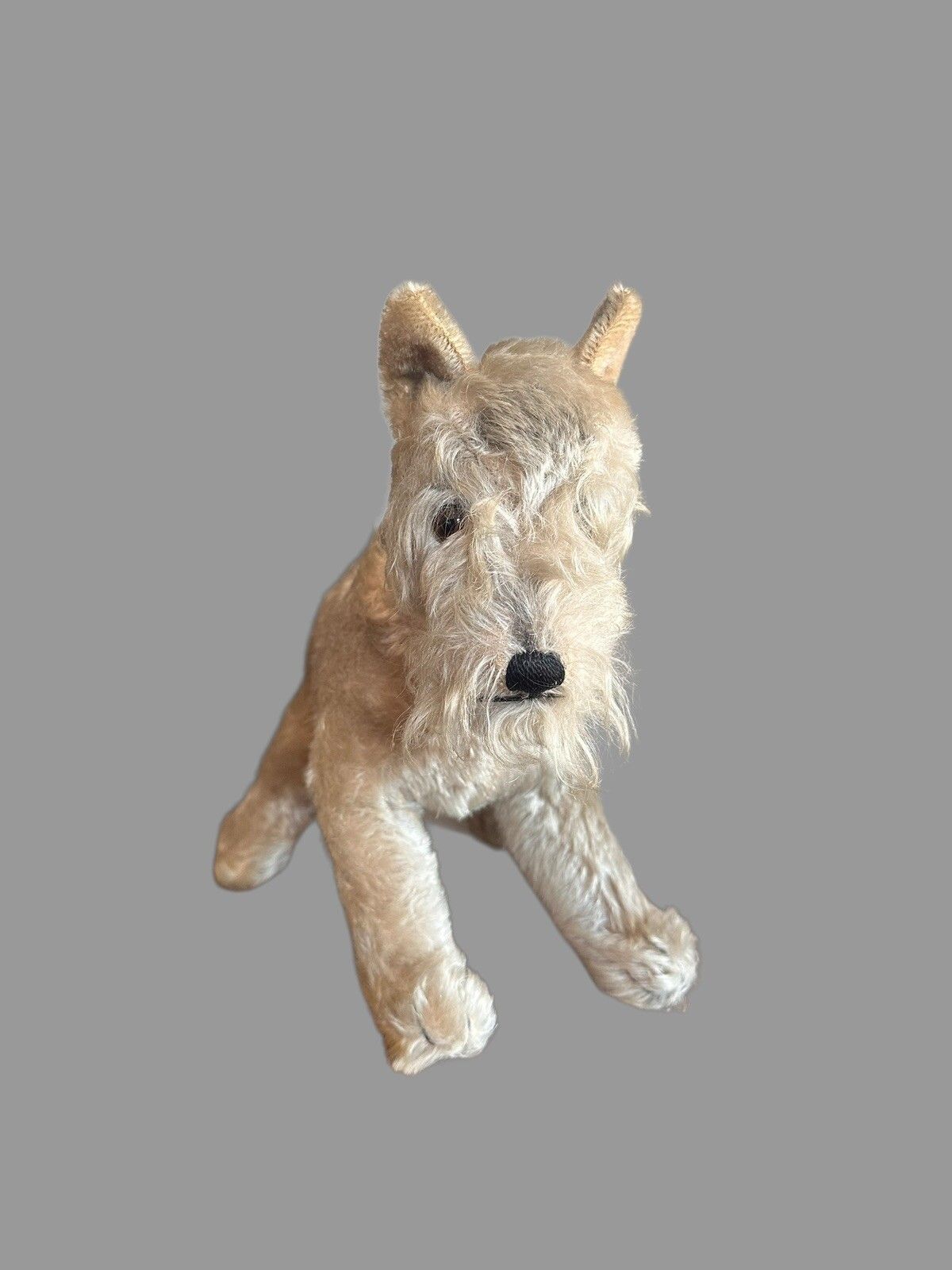Vintage Steiff Dog Champagne Mohair Dog, Steiff 1950's , Schnauzer 12” photo furniture