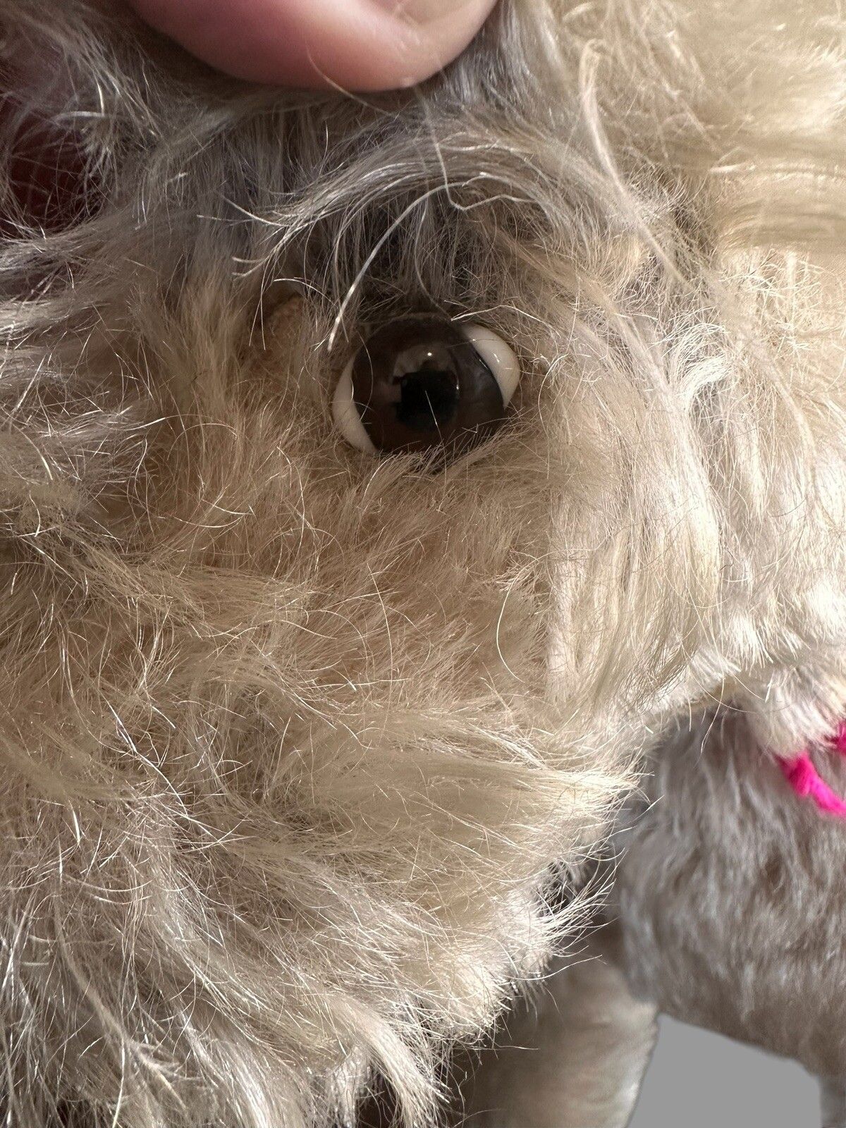 Vintage Steiff Dog Champagne Mohair Dog, Steiff 1950's , Schnauzer 12” photo for sale