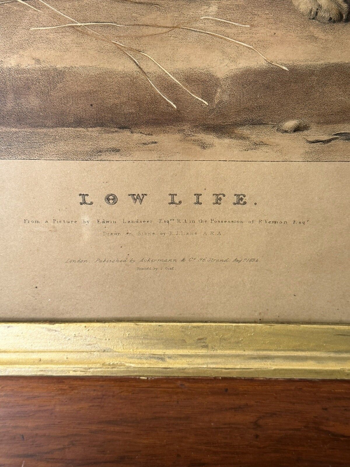 Antique Edwin Landseer  Hand Coloured Engraving, “Low Life”Ackerman photo for sale