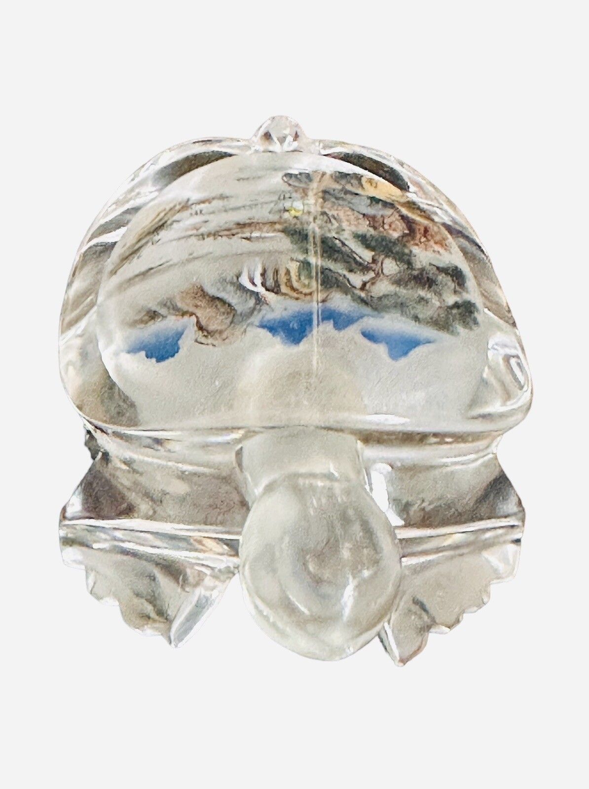 Oriental Reverse Glass Painting Snuff Perfume Bottle In The Form Of A Turtle photo vinterior