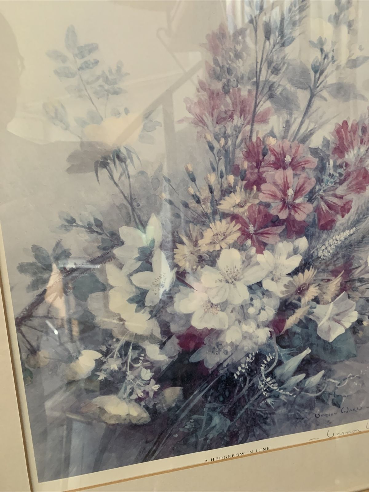 Vintage Framed Glazed Still Life Botanical Large Print Signed By Artist 56x44cm photo for sale