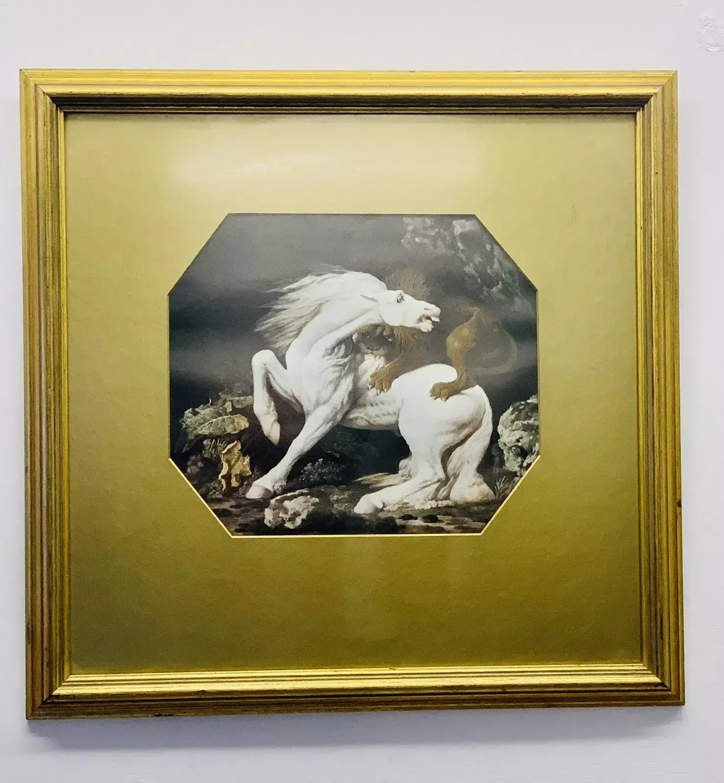 Superb Antique Print By George Stubbs   50cm By 49cm