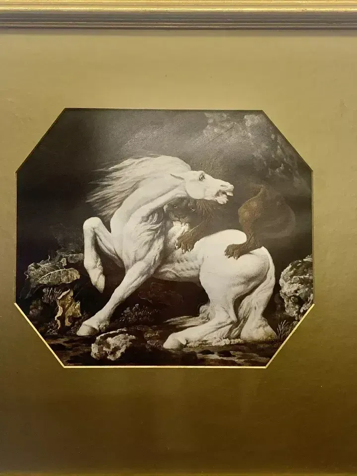 Superb Antique Print By George Stubbs   50cm By 49cm photo for sale