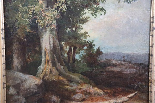 Forest Landscape, Oil Painting On Canvas, Late 19th Century, Framed photo furniture