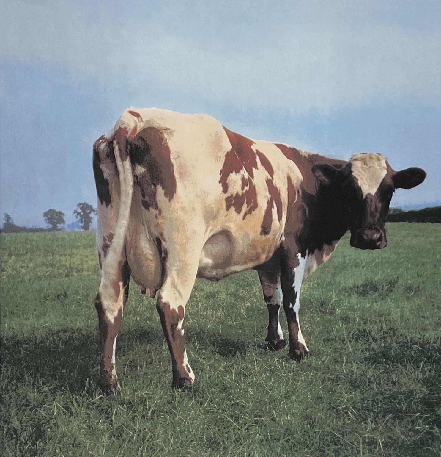 Pink Floyd   Atom Heart Mother By Storm Thorgerson, John Blake photo furniture