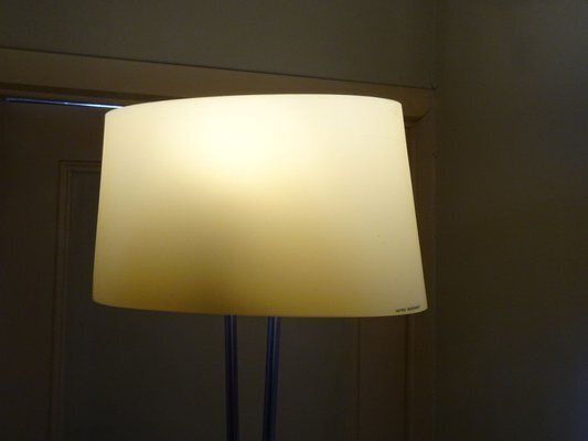 Vitt Terra Series Floor Lamp In Murano Glass By Valerio Bottin For Foscarini, 2000s photo 639.0
