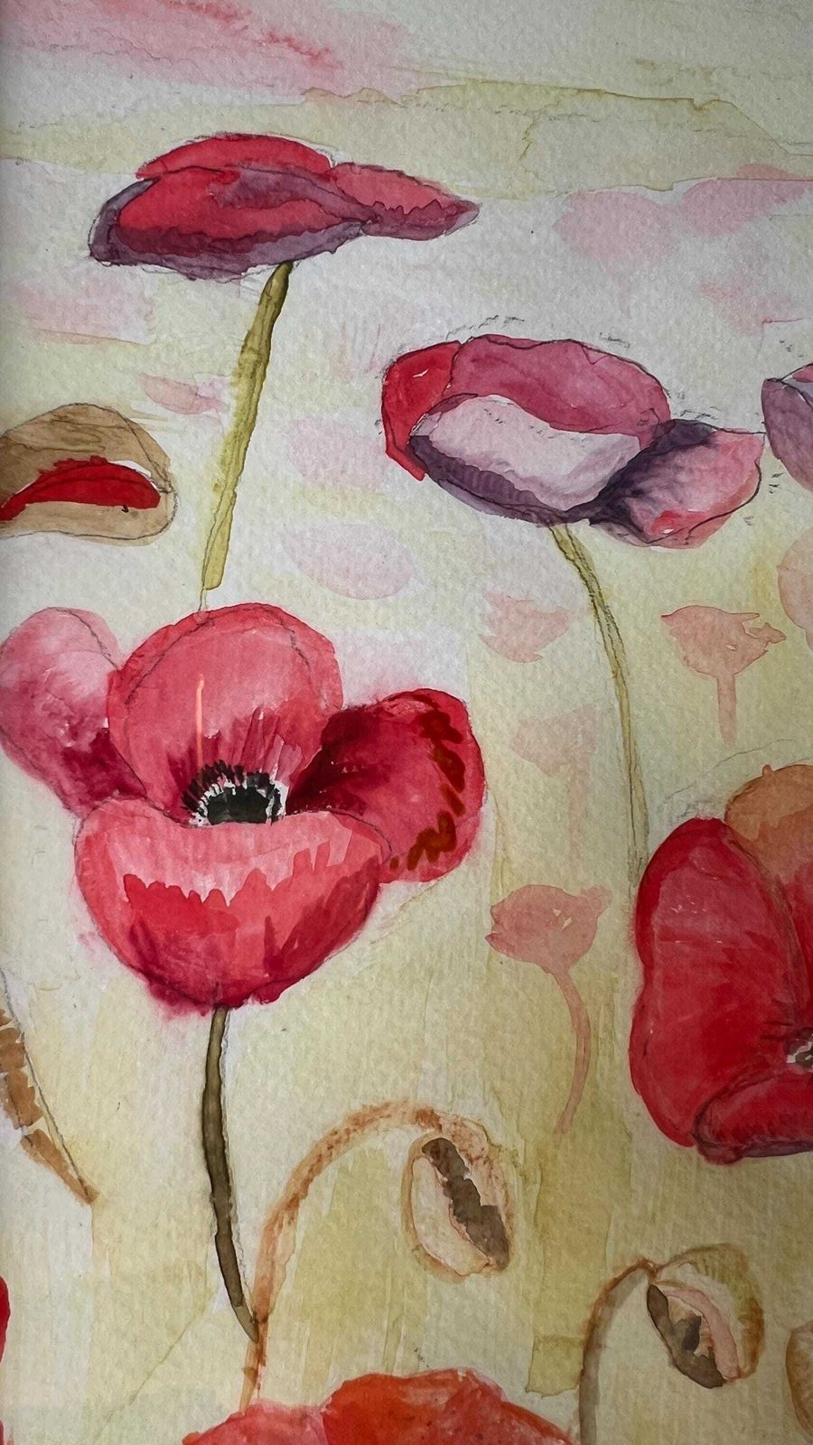 Contemporary Signed Watercolour ‘Wwi Peace’ Depicting Poppies By Catriona Cattle photo 145.0