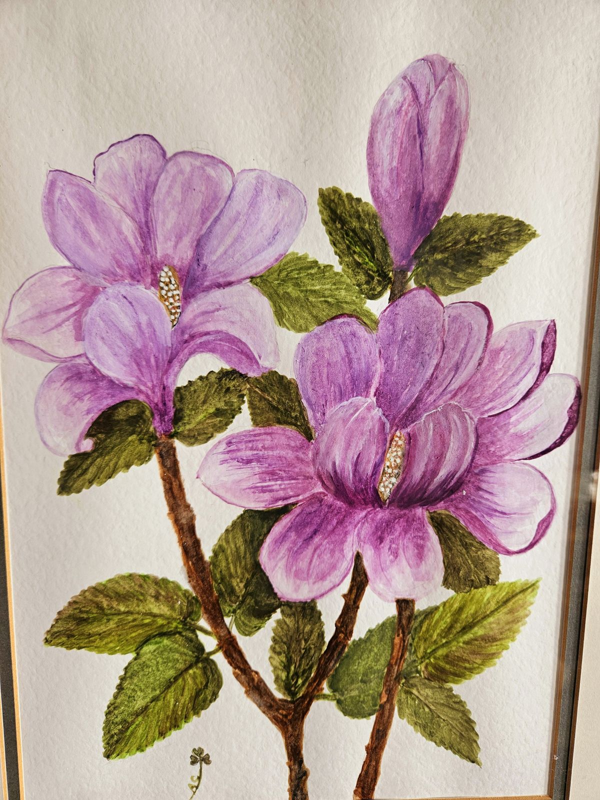 Pair Of Framed Floral Watercolours By Artist Anna Clover (1927   2024) photo 140.0