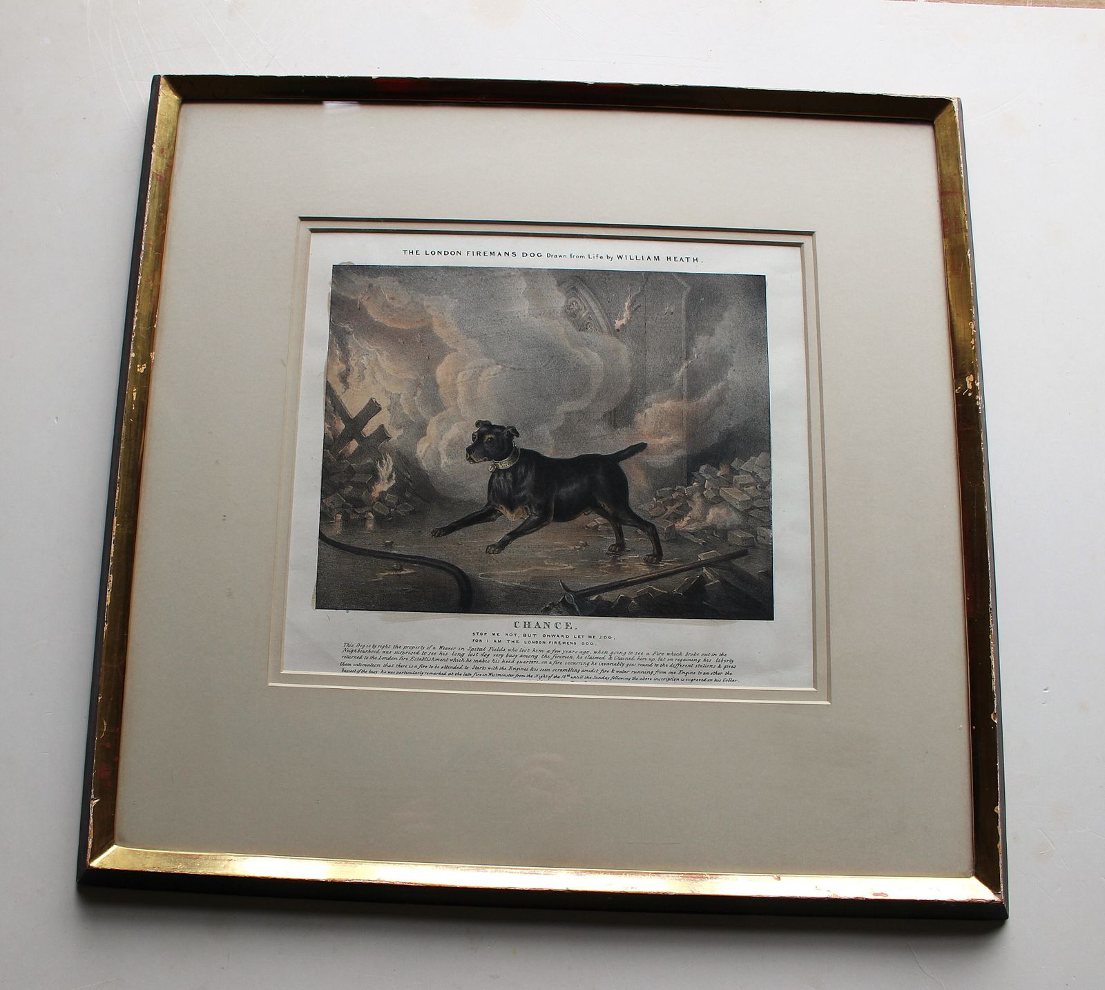 Framed Original Lithograph Chance The London Fireman’s Dog By William Heath C1834 photo 240.0