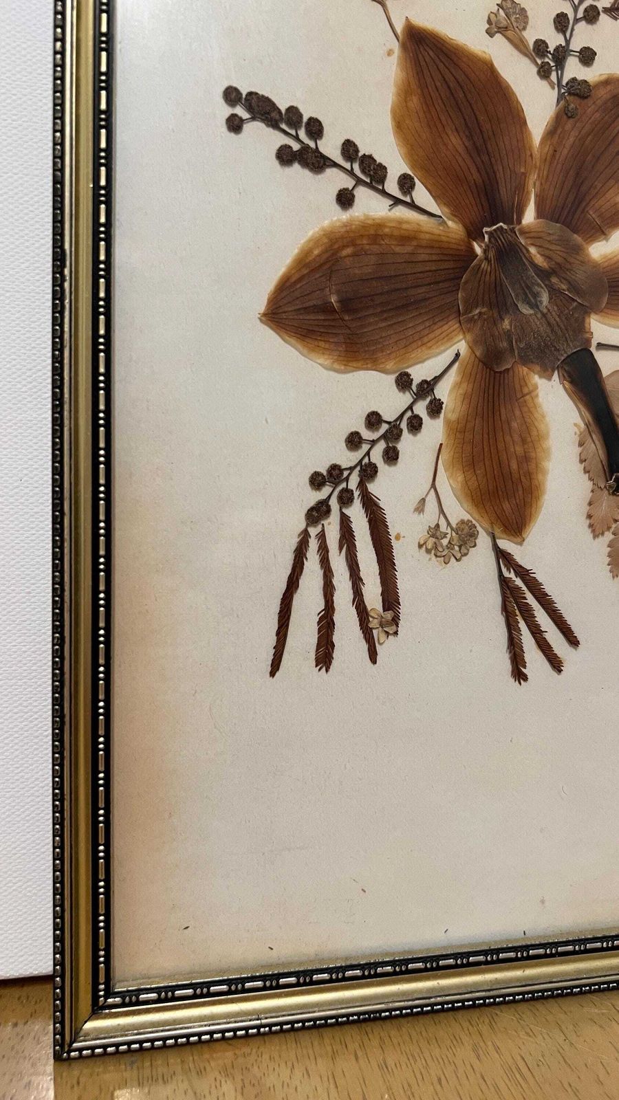 Vintage 1978 Signed Dried Flower Collage – Framed Botanical Artwork photo furniture