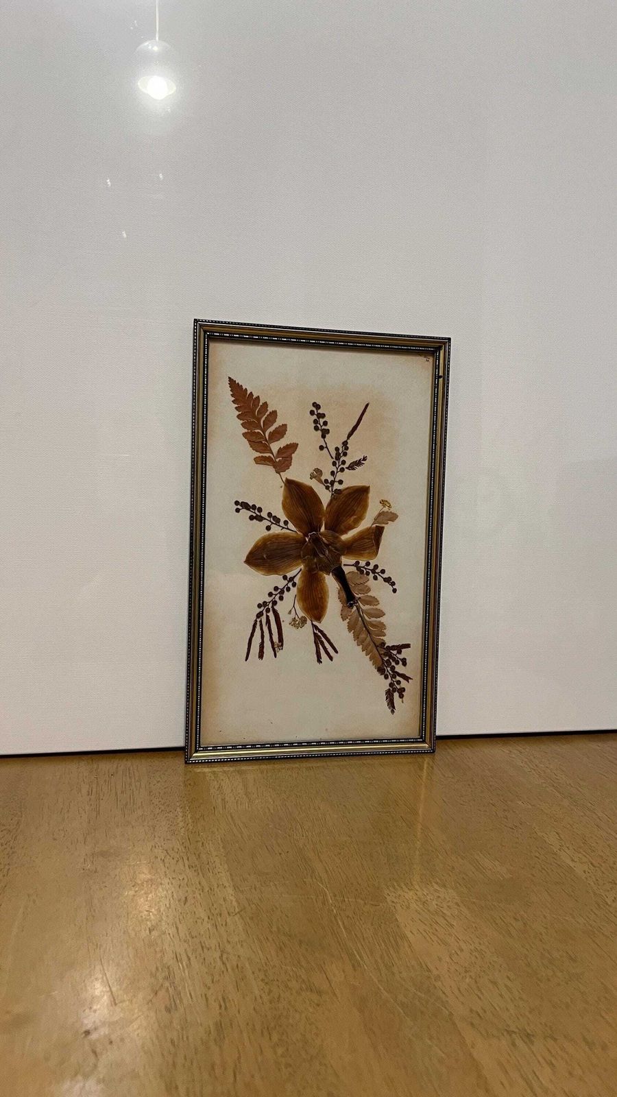 Vintage 1978 Signed Dried Flower Collage – Framed Botanical Artwork photo vintage