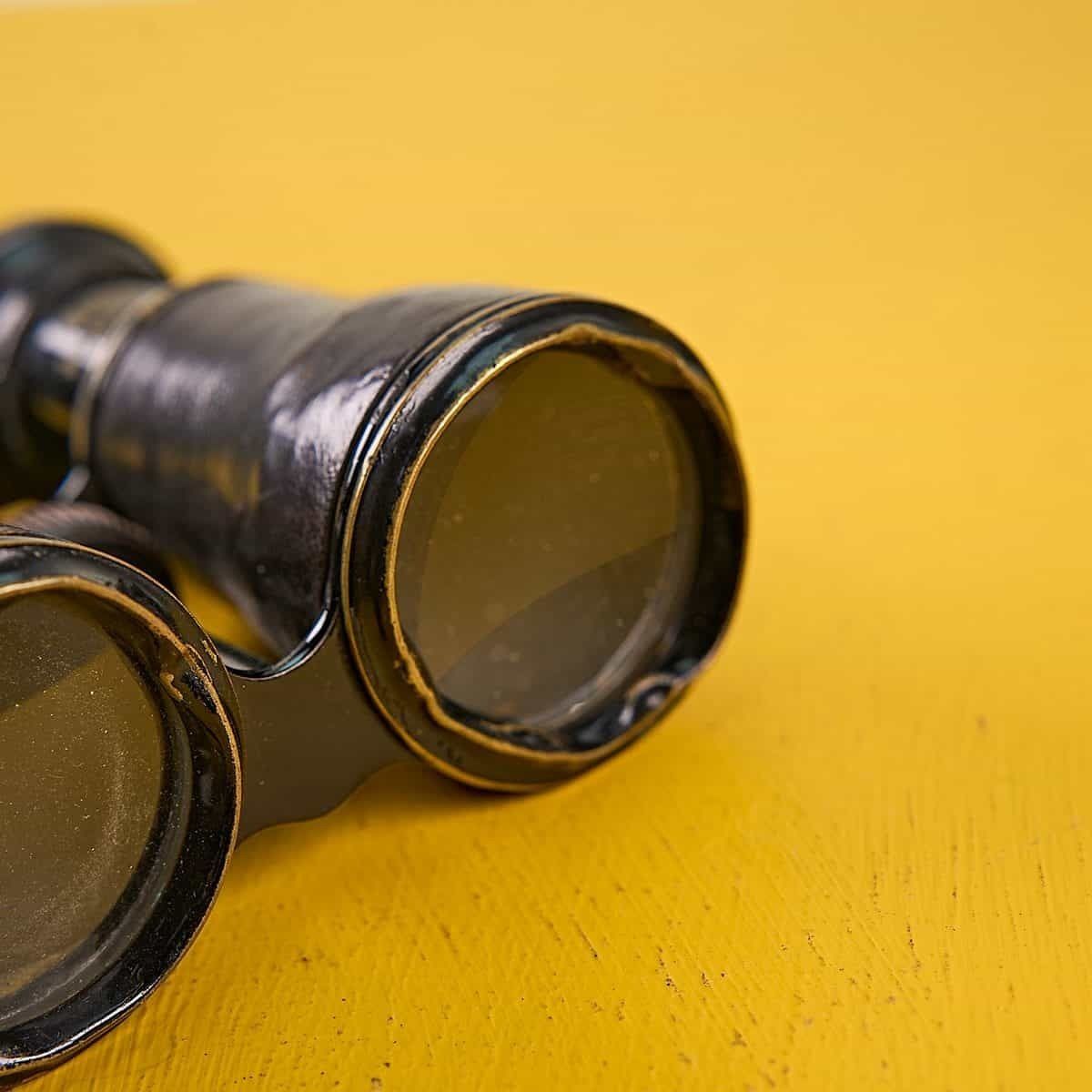 Perfectionne Military Binoculars photo 50.0