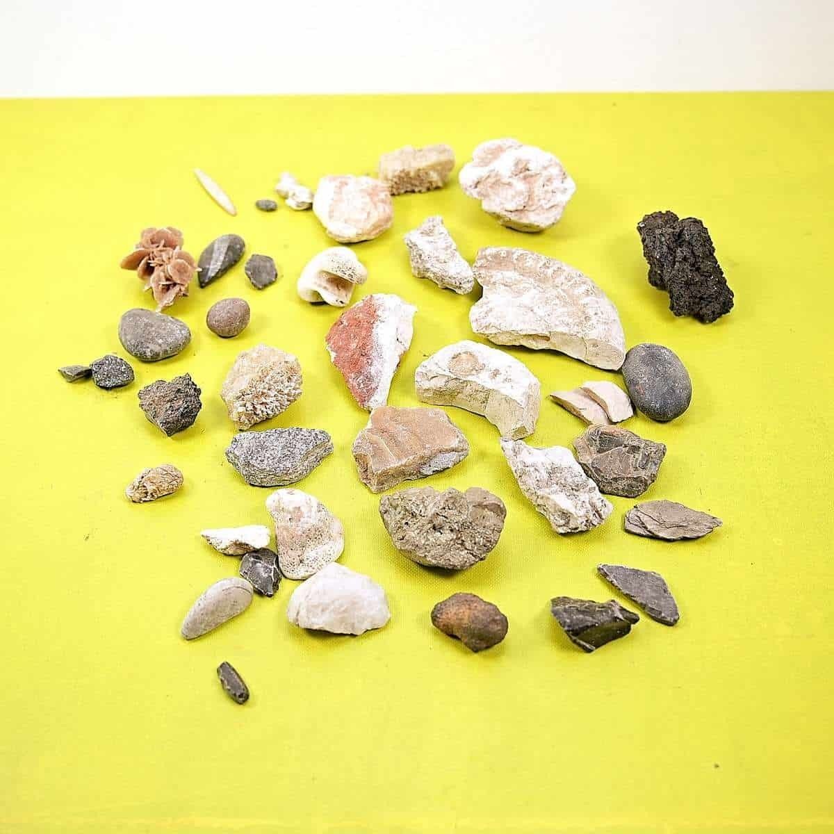Lot Of Mixed Collectible Stones And Minerals