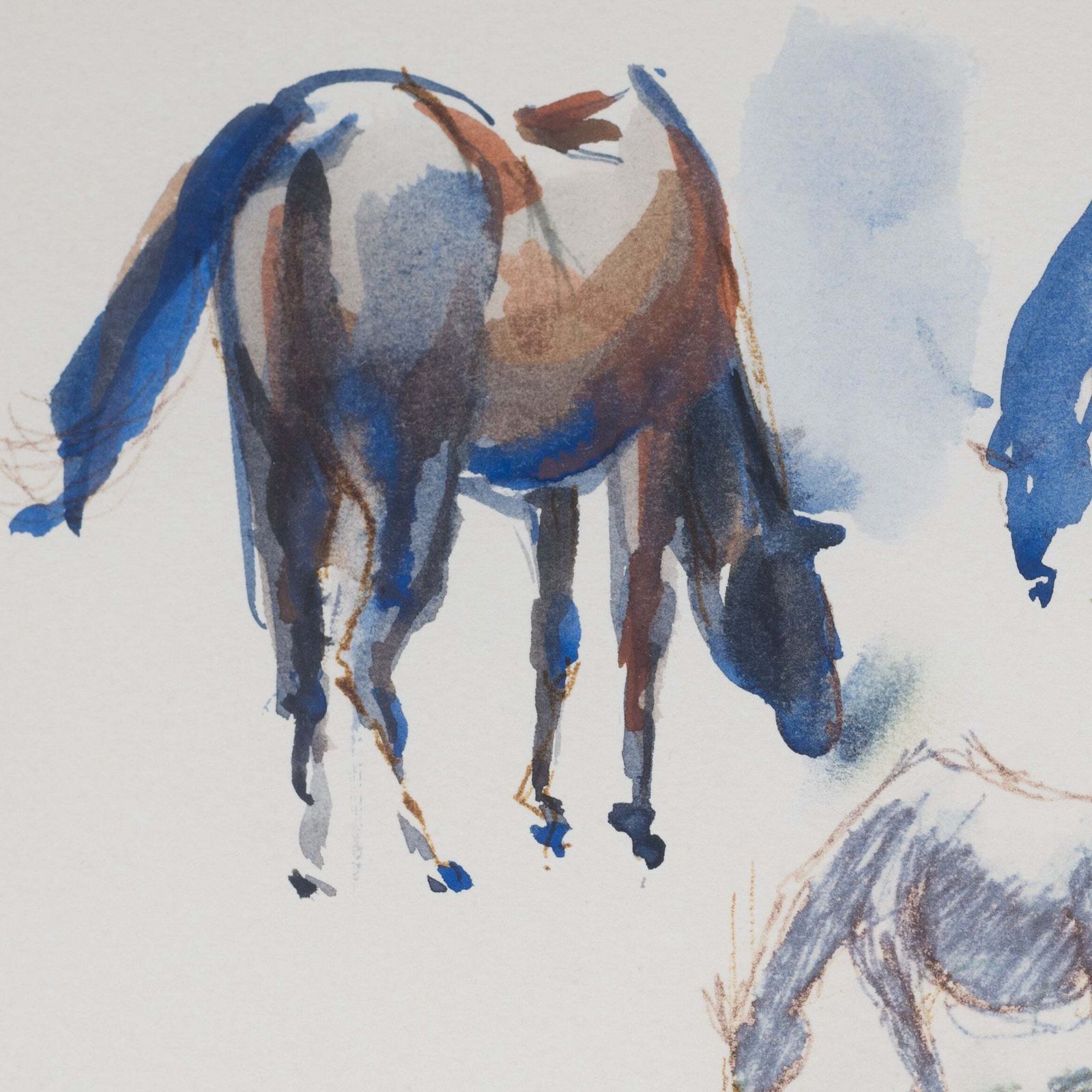 Framed Pen And Ink Watercolour Wash Signed Study Of Horses photo Art