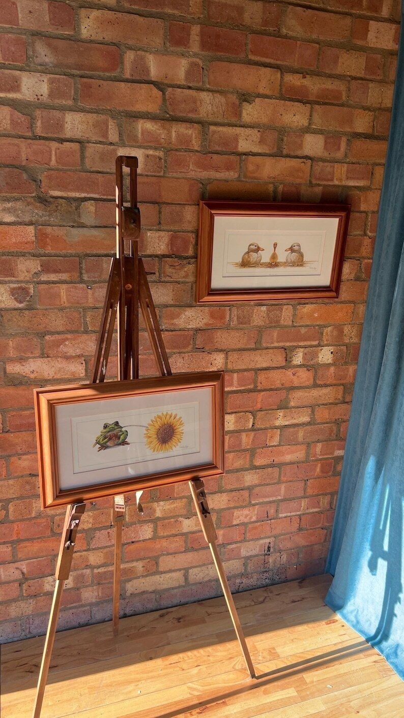 Framed Warwick Higgs ‘Frog Flora’ & ‘Odd One Out’ Illustration Reproductions– Nature Art