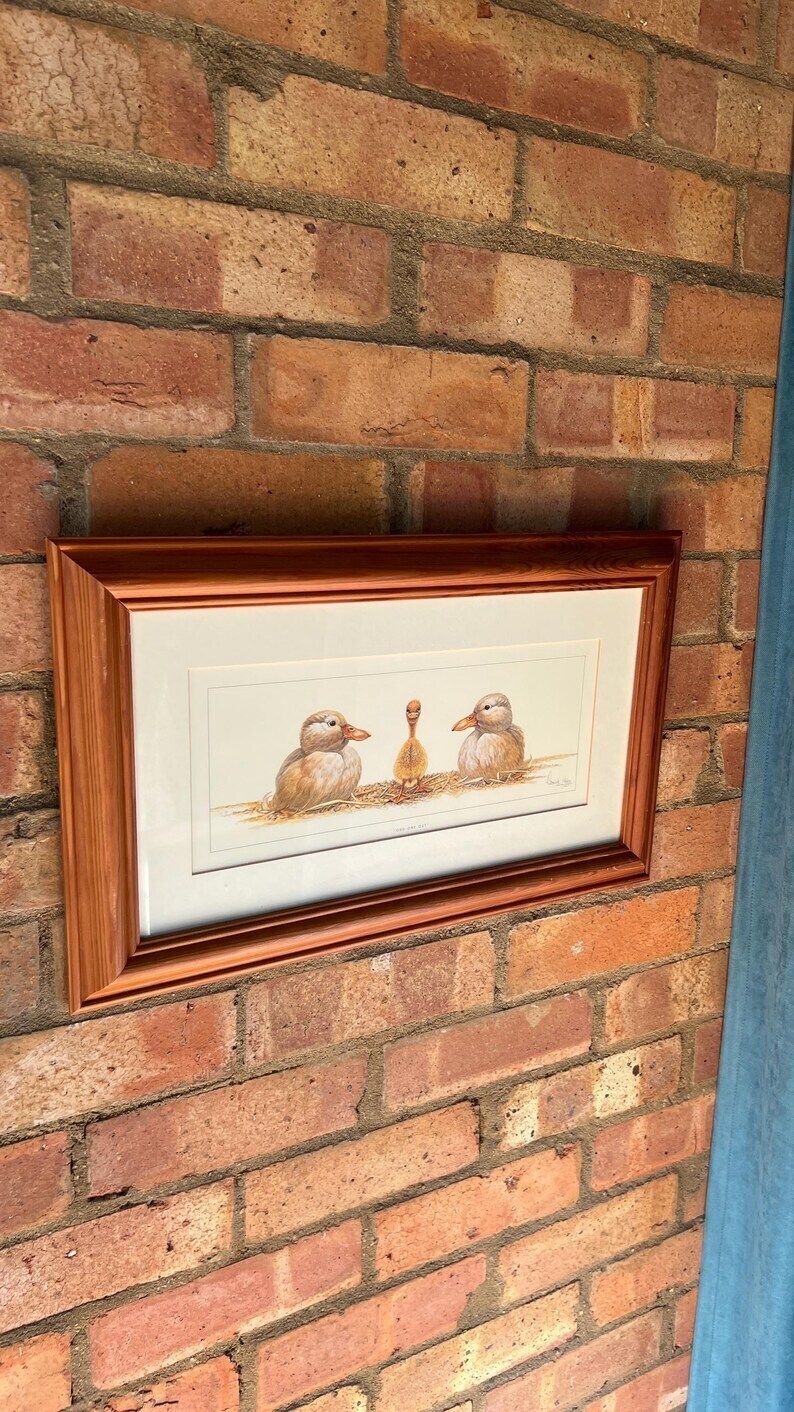 Framed Warwick Higgs ‘Frog Flora’ & ‘Odd One Out’ Illustration Reproductions– Nature Art photo buy