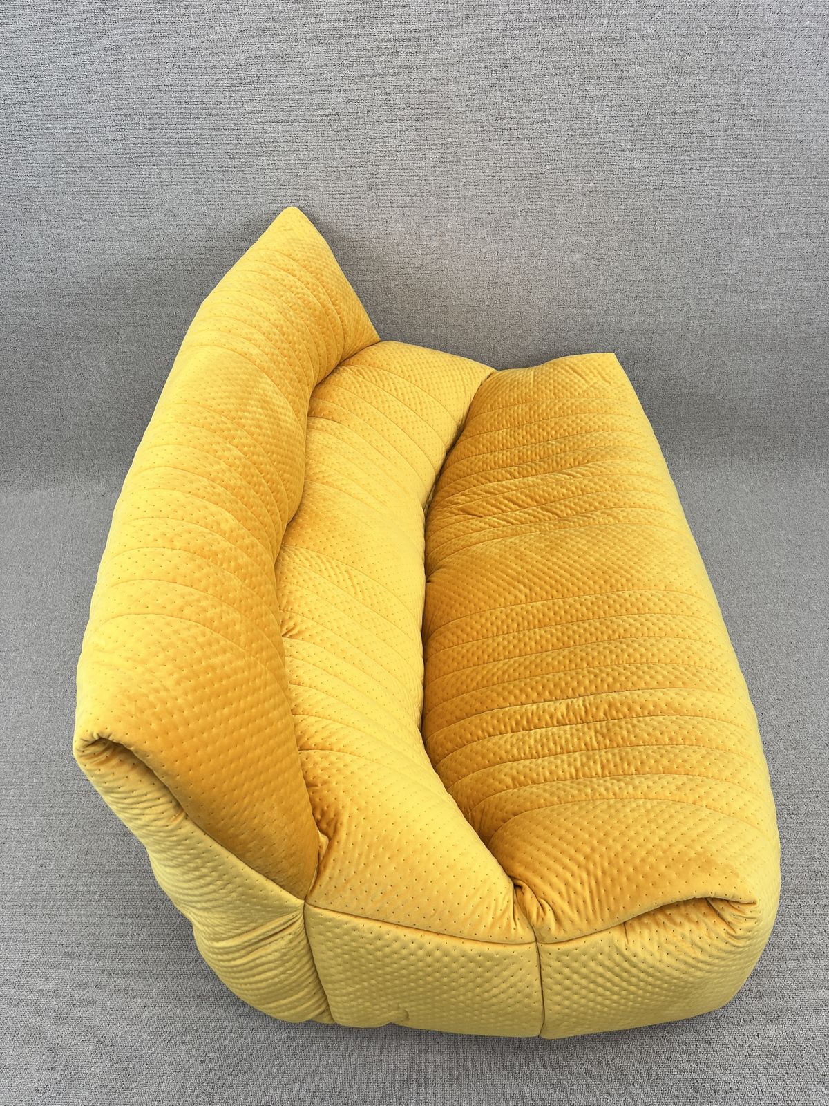 Furniture Yellow 2 Seater Aralia Sofa From Ligne Roset photo