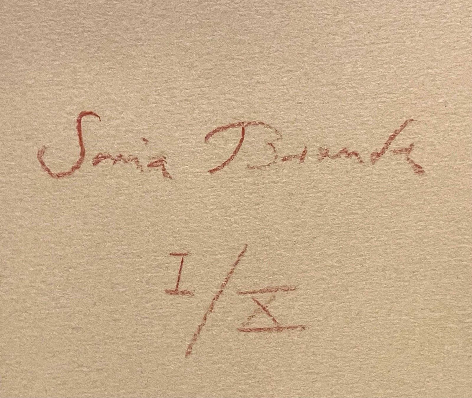 Vintage Original Danish Lithographic Print With Animal And Fairytale Motives By Sonia Brandes (1946 )   Expressionistic Art From Denmark photo vinterior