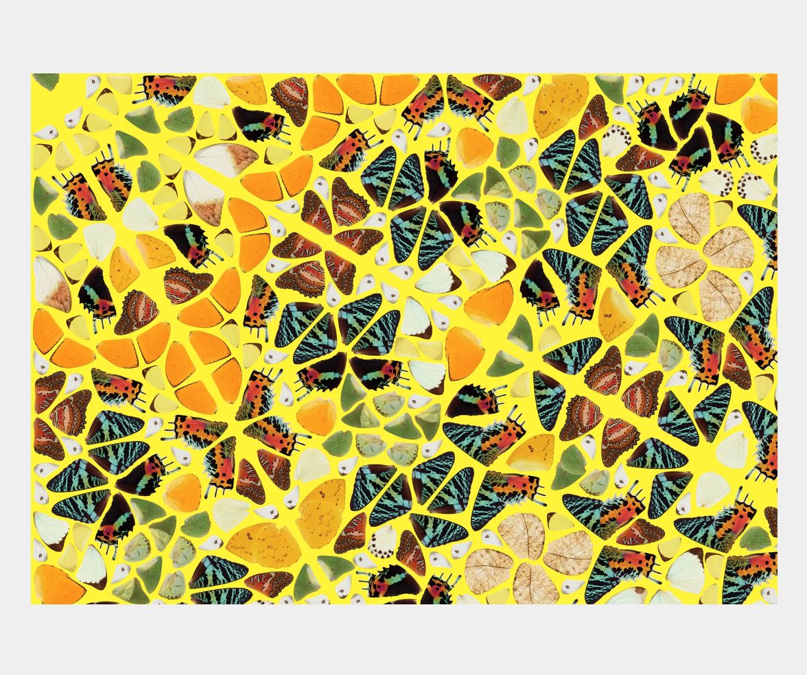 Damien Hirst Splendour From The Kaleidoscopes, H18 4 photo for sale