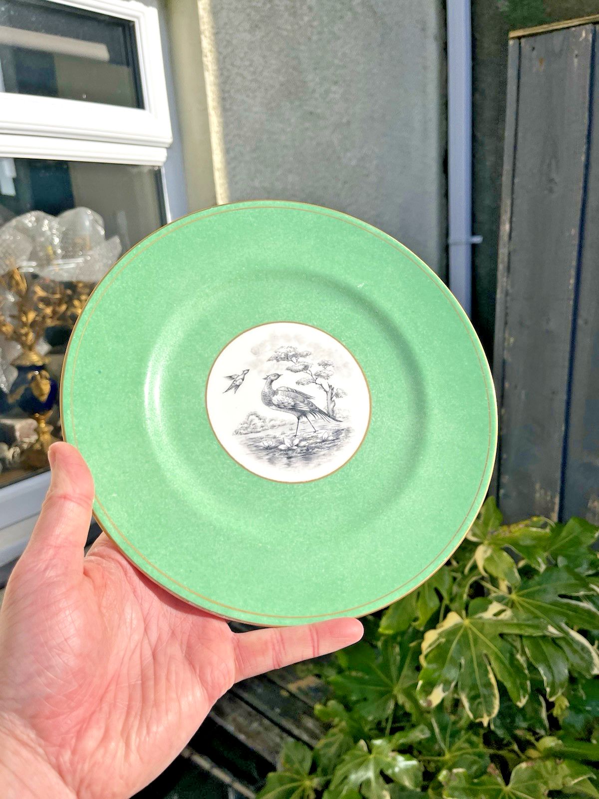 1 Antique Crown Staffordshire Pheasant Cabinet Plate For Tiffany & Co New York photo vinterior