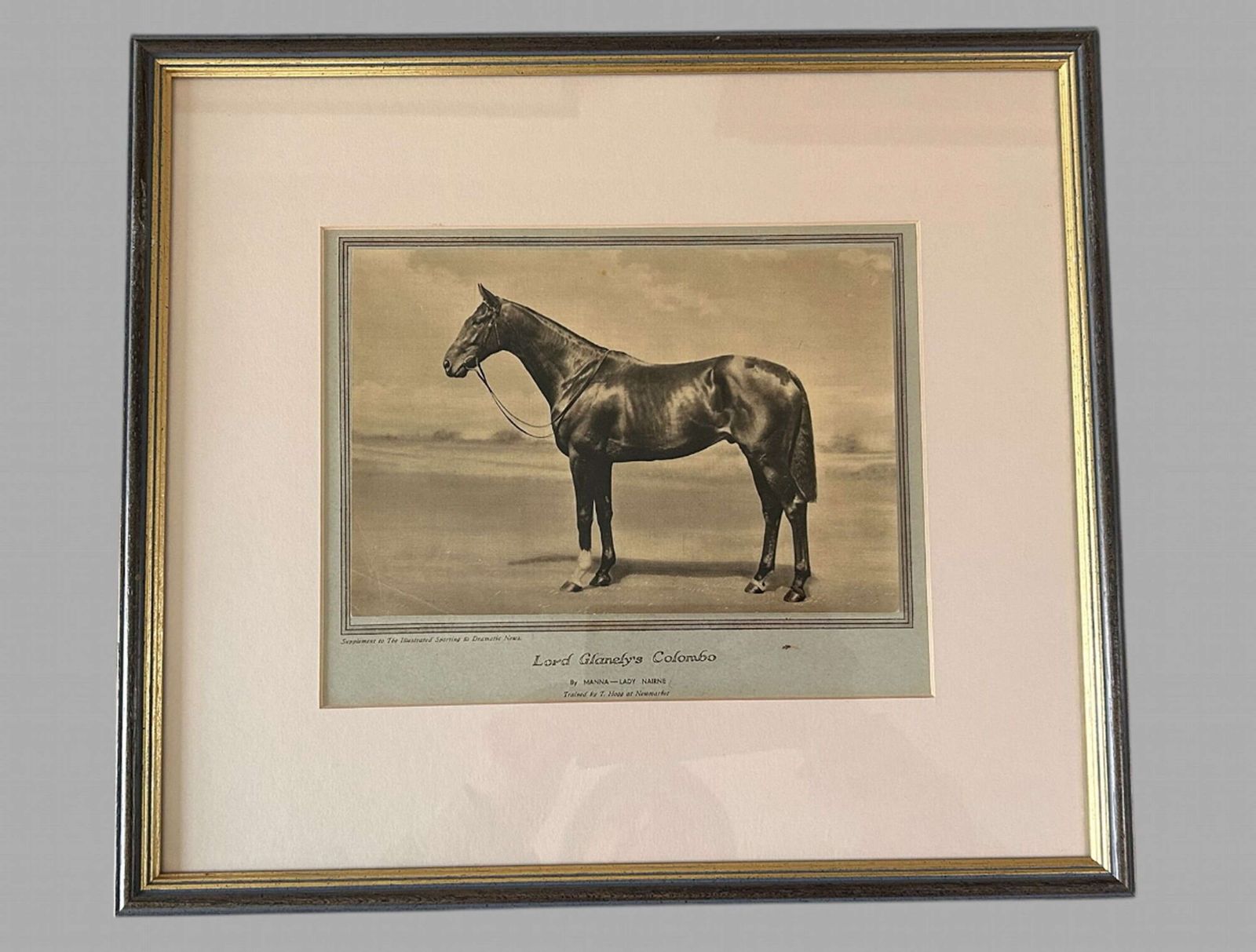 A Wonderful Set Of Eight Famous Racehorses 1933 Framed & Glazed photo for sale