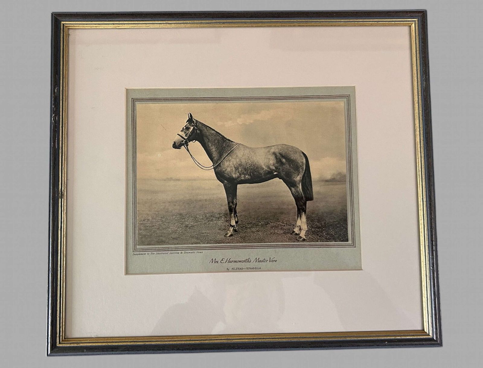 A Wonderful Set Of Eight Famous Racehorses 1933 Framed & Glazed photo 950.0