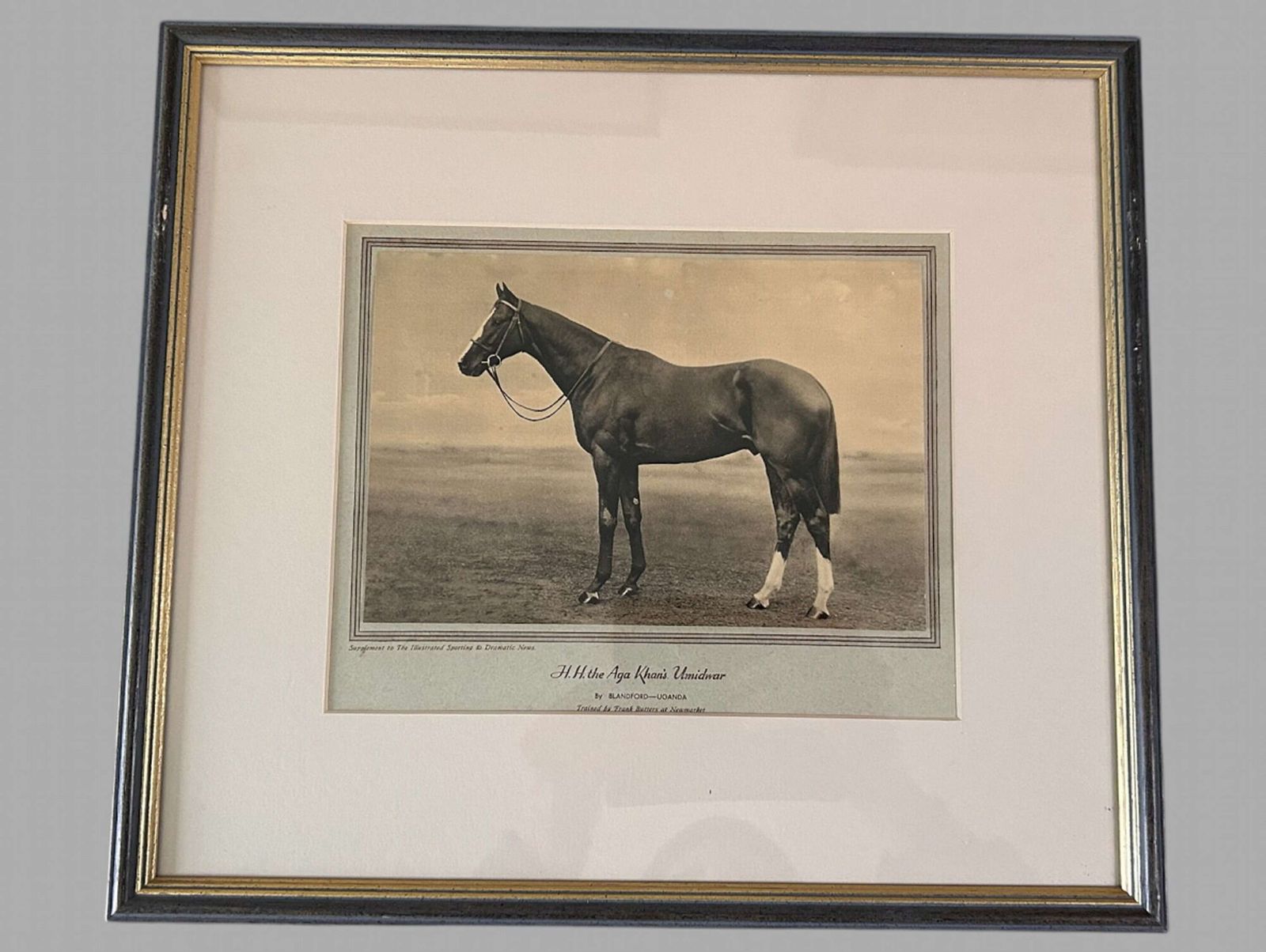 A Wonderful Set Of Eight Famous Racehorses 1933 Framed & Glazed photo vinterior