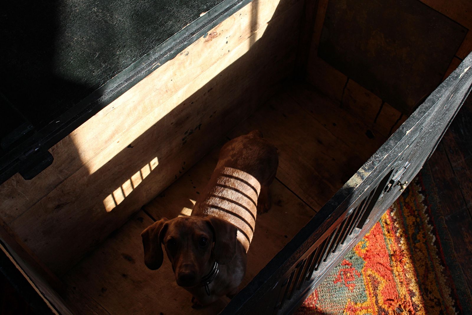 Early 19th C Georgian Original Painted Green Pitch Pine Dog Box Bed Crate photo vintage