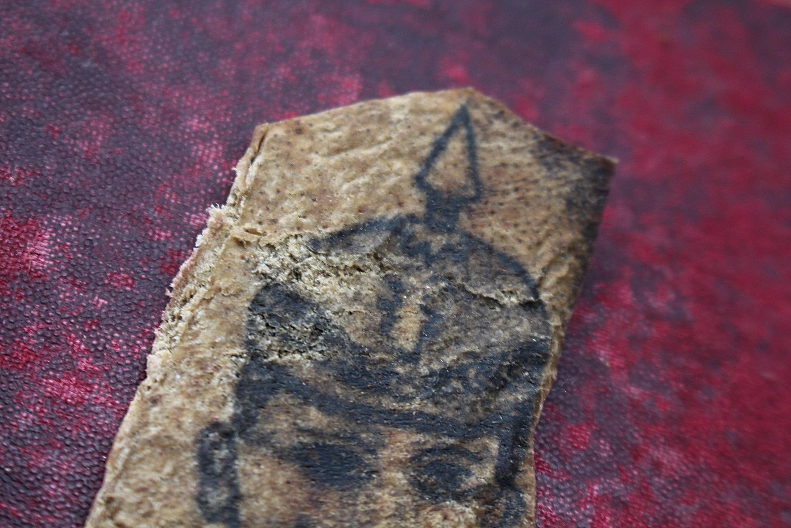 photo vinterior Rare Pair Of Late 19th Century Tattoo Specimens From A French Sailor Curiosity