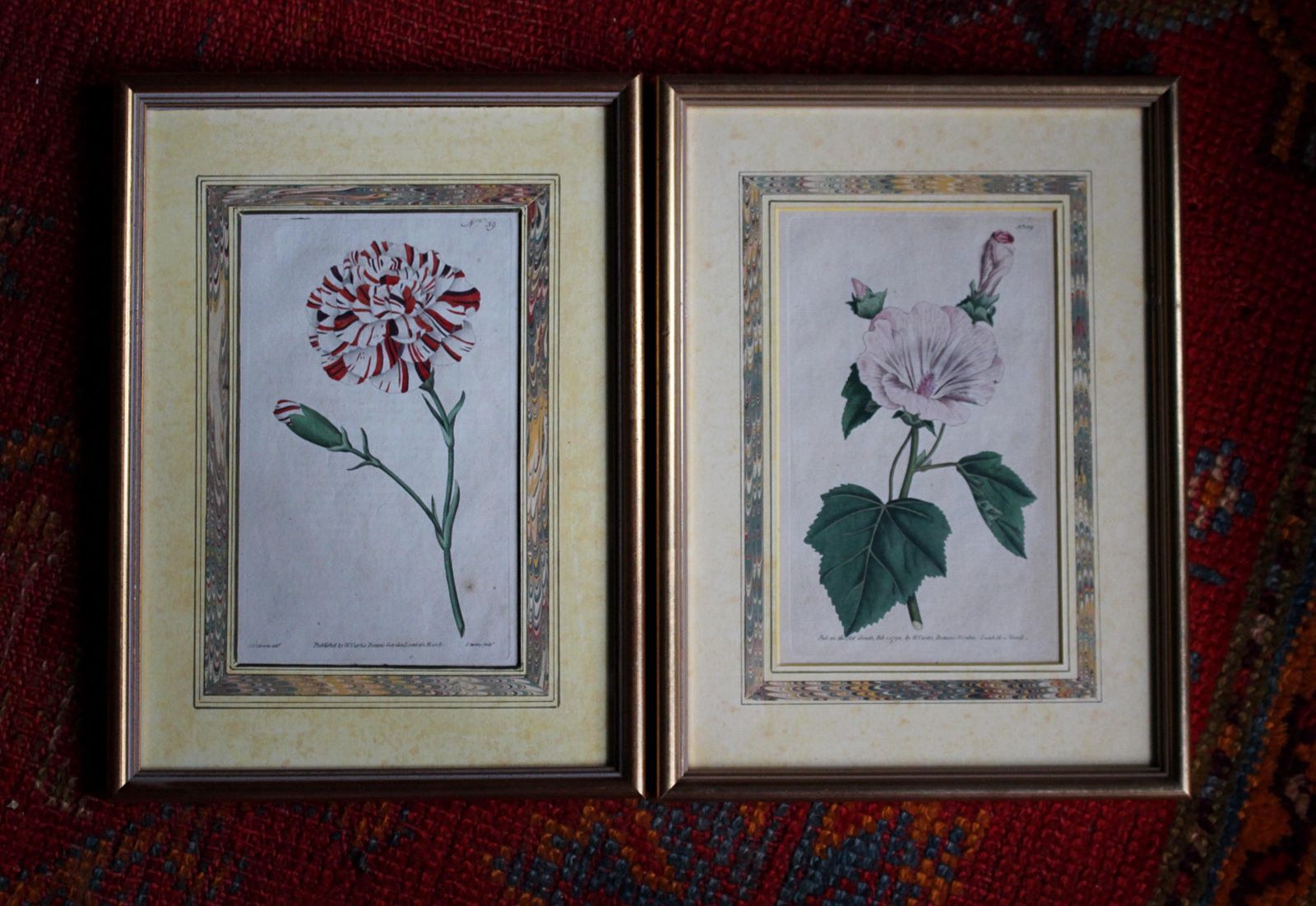 Late 18 C W.Curtis Hand Coloured Botanical Lithograph Plates Faux Marble Mounts photo furniture