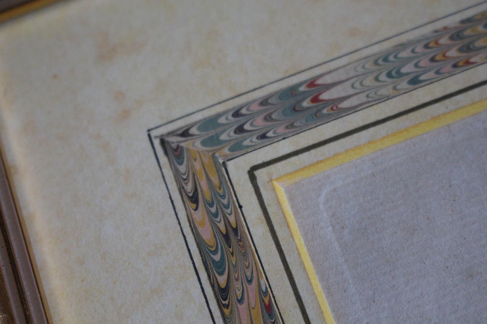 Late 18 C W.Curtis Hand Coloured Botanical Lithograph Plates Faux Marble Mounts photo buy