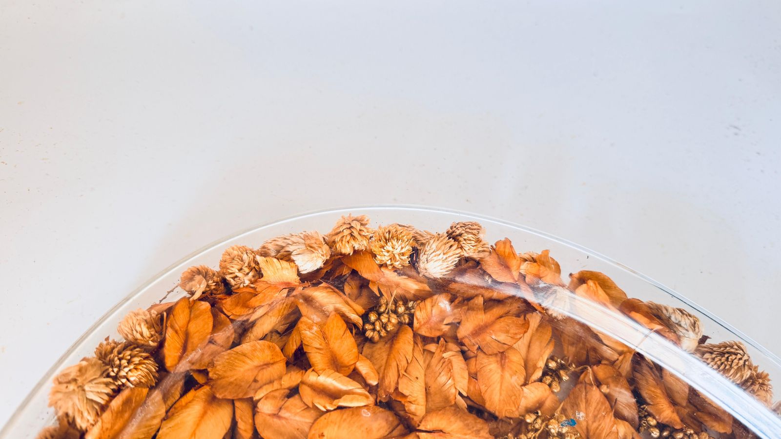 photo furniture 1970s Asian Hard Plastic Tray With Embedded Dried Flowers And Leaves, Oval Shape