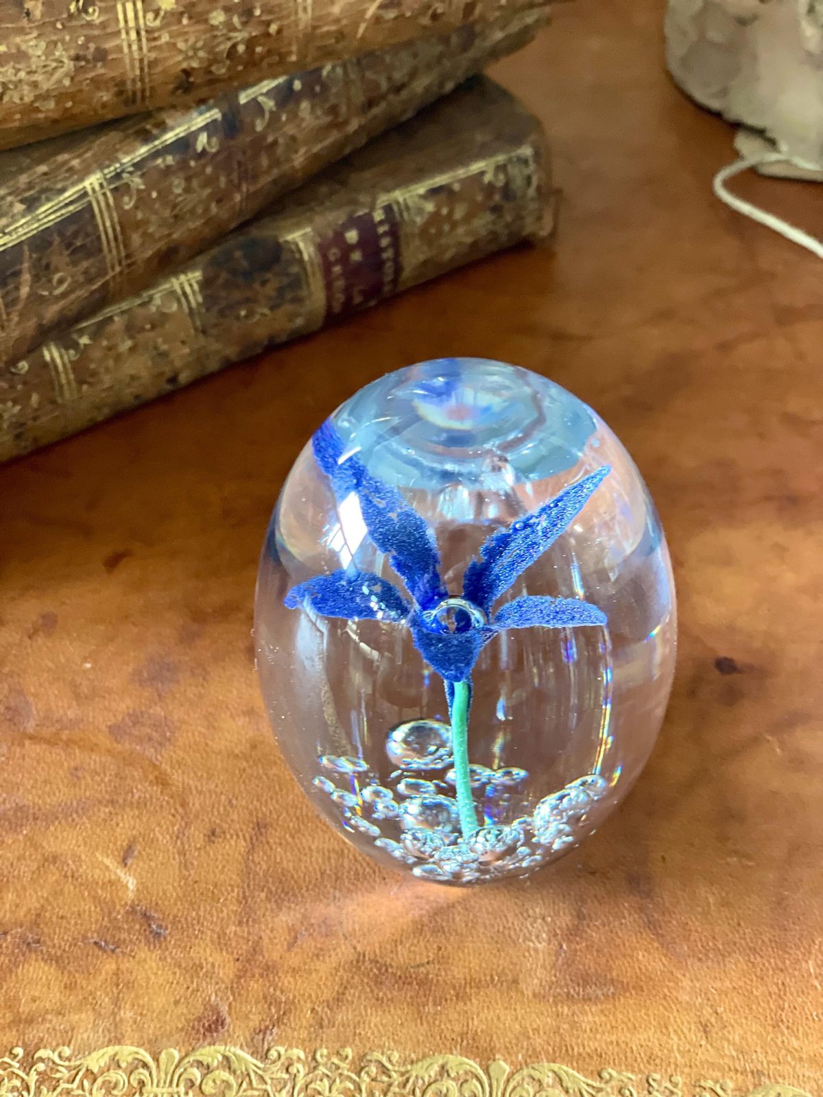 photo for sale By Daum Sulphide Paperweight With Blue Flower