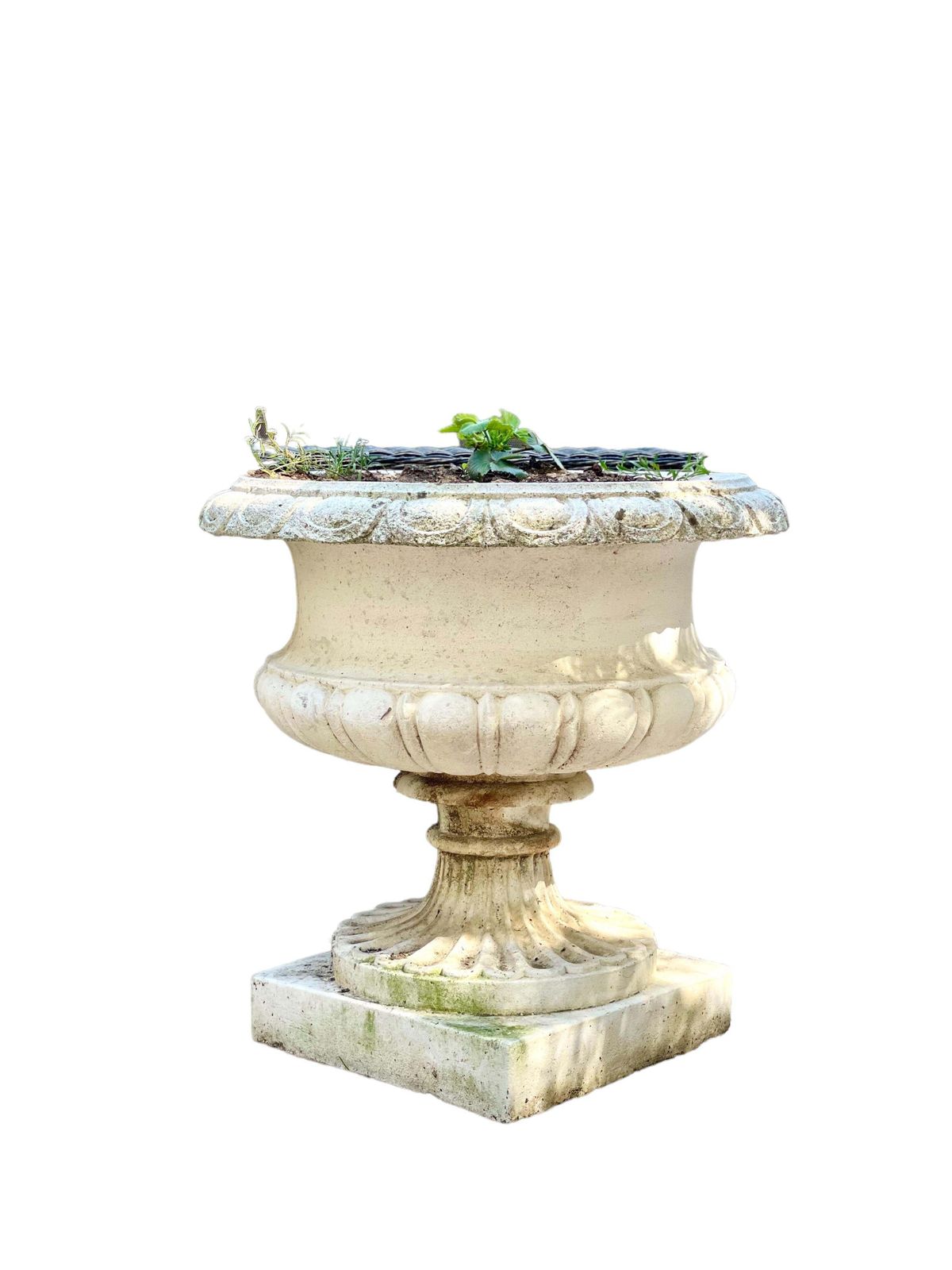 19th Century Pair Of Large Chambord Garden Urns photo furniture