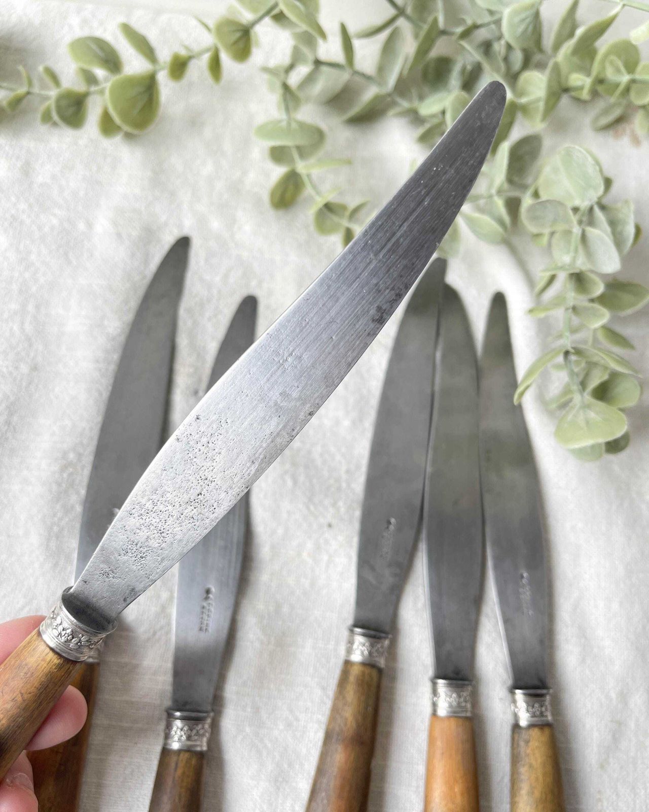 photo for sale 6 Vintage Horn Knives Silver Steel Blade Lepine A Lyon France 19th Century   Antique Cutlery   Kitchen Utensils   Vintage Tableware