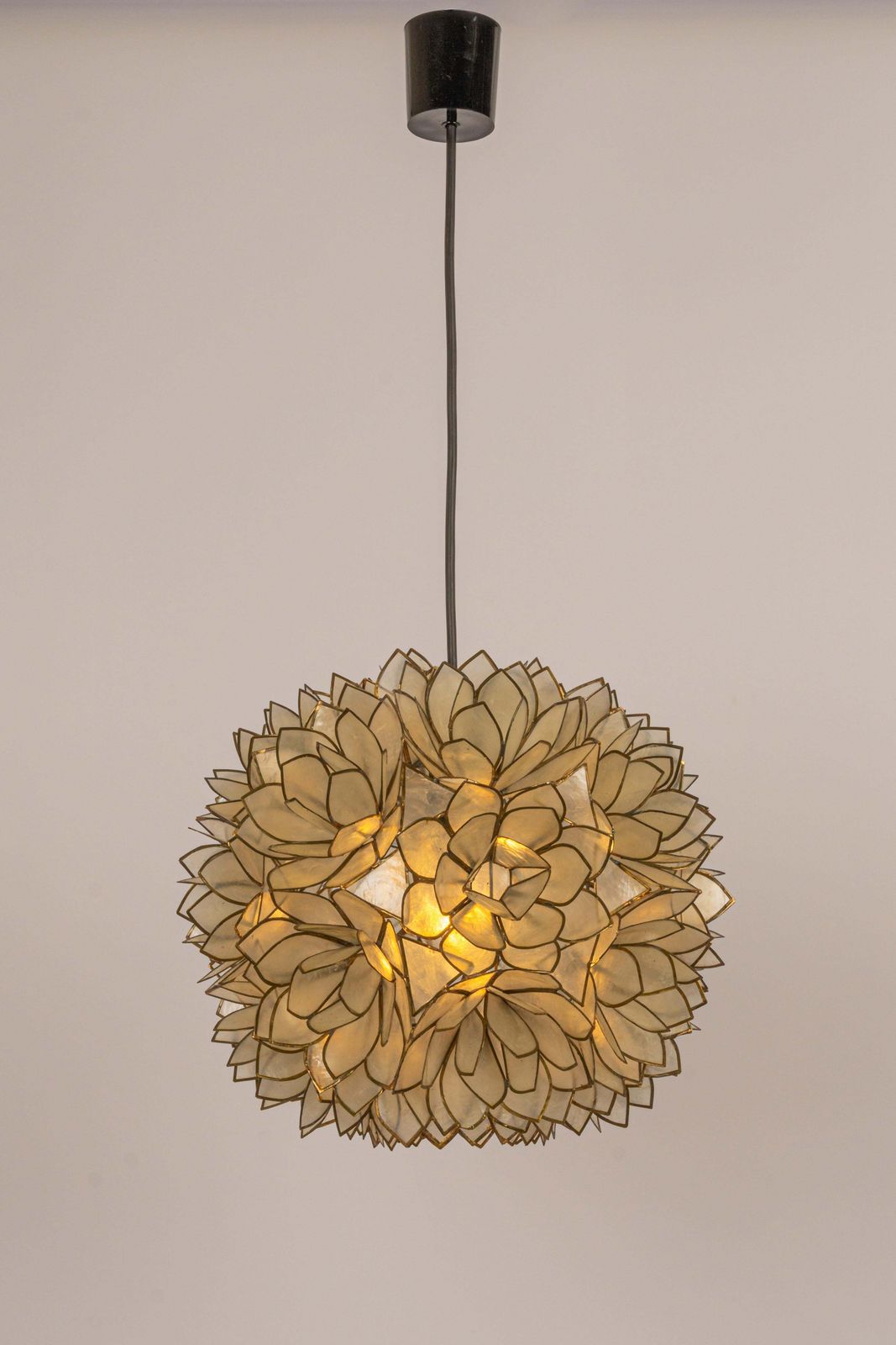 1 Of 5 Capiz Shell Lotus Ball Chandelier Pendant Light Germany, 1960s photo 1075.0