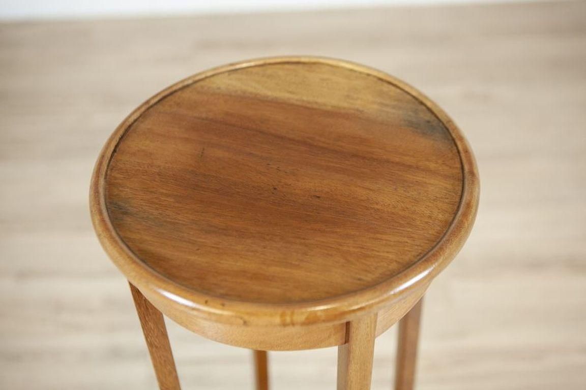 Mahogany Table/Plant Stand From The 20th Century photo Home Decor
