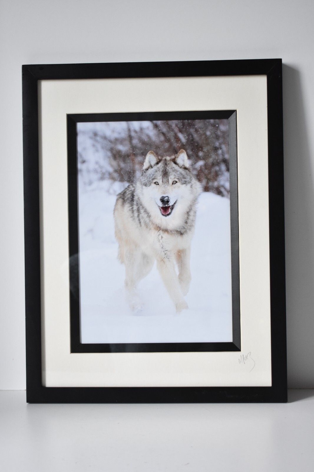 Wolf Original Photography Print Mounted Framed Mike Perez Wildlife Wolves Signed photo for sale
