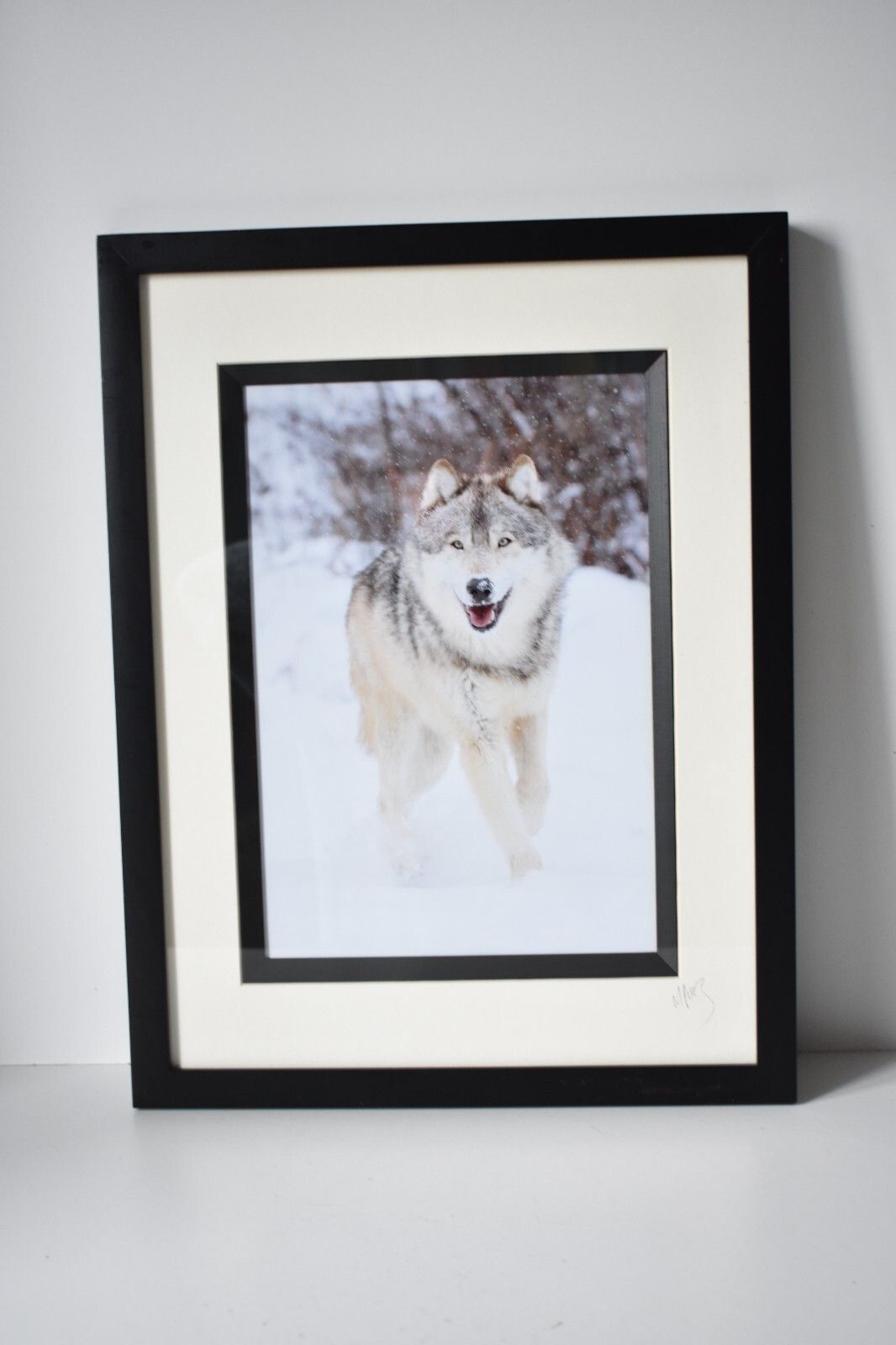 Wolf Original Photography Print Mounted Framed Mike Perez Wildlife Wolves Signed photo buy