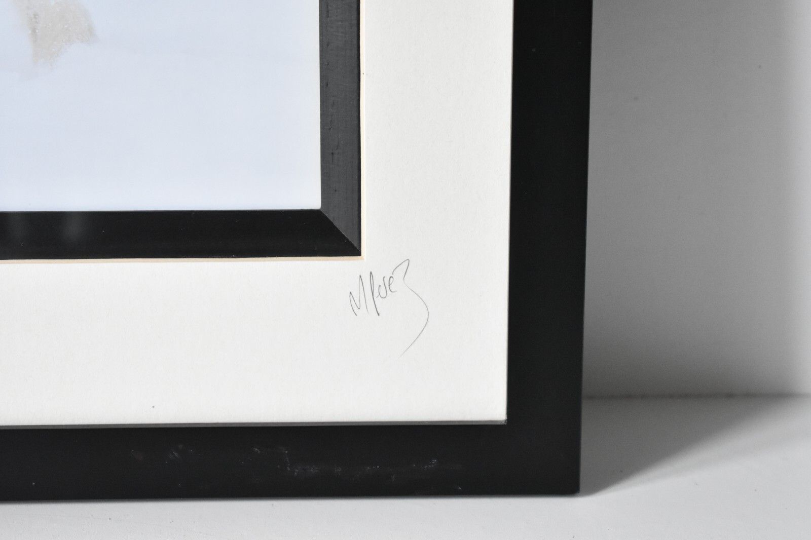 photo furniture Wolf Original Photography Print Mounted Framed Mike Perez Wildlife Wolves Signed
